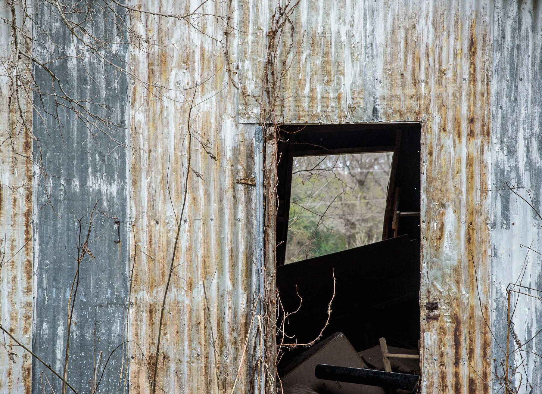 Forgotten Things