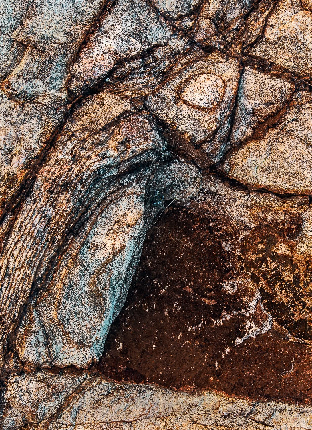 20181116_112126_5779_BigBend-Edit.jpg
