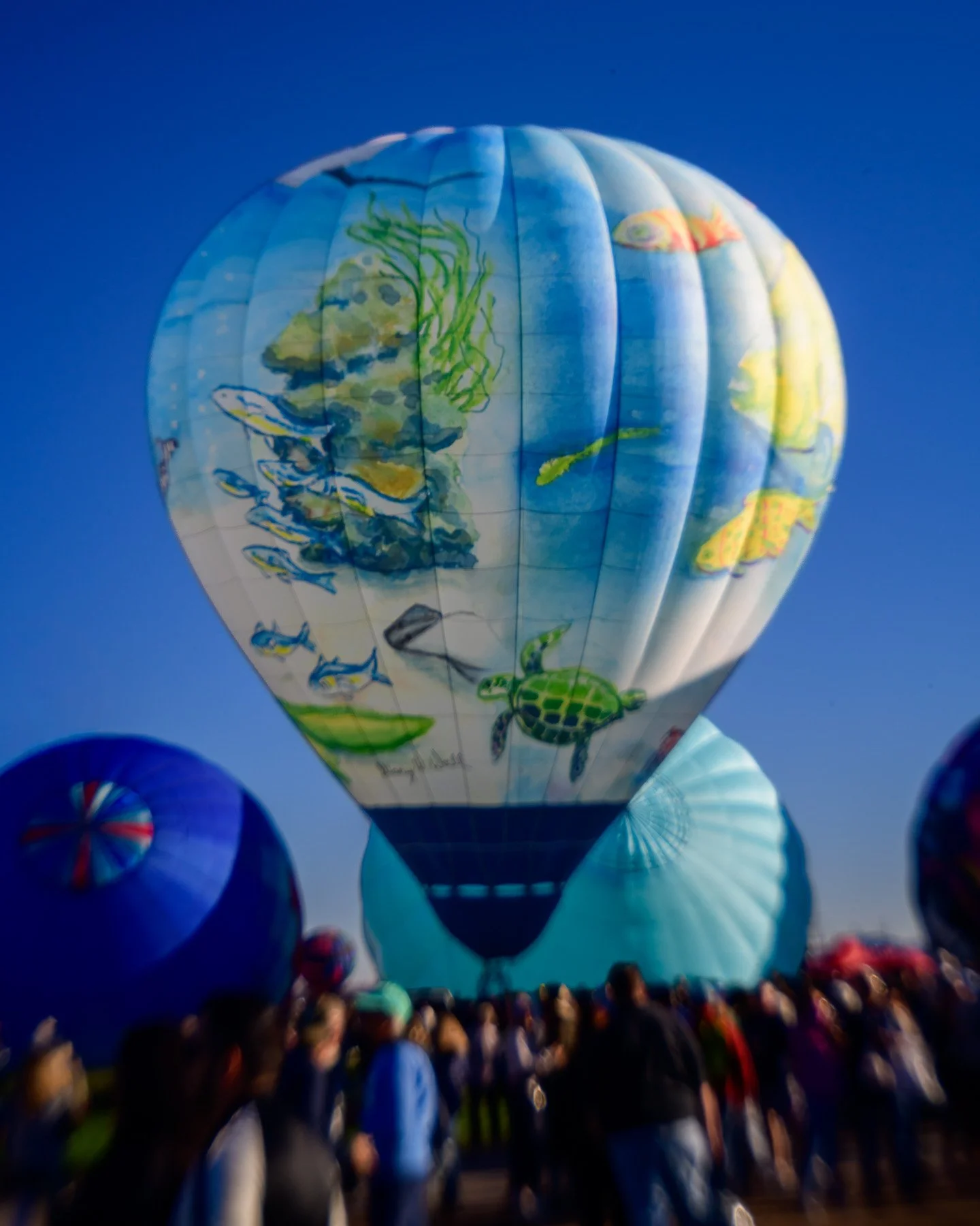 20261003_0825_88002_BalloonFiesta.jpg