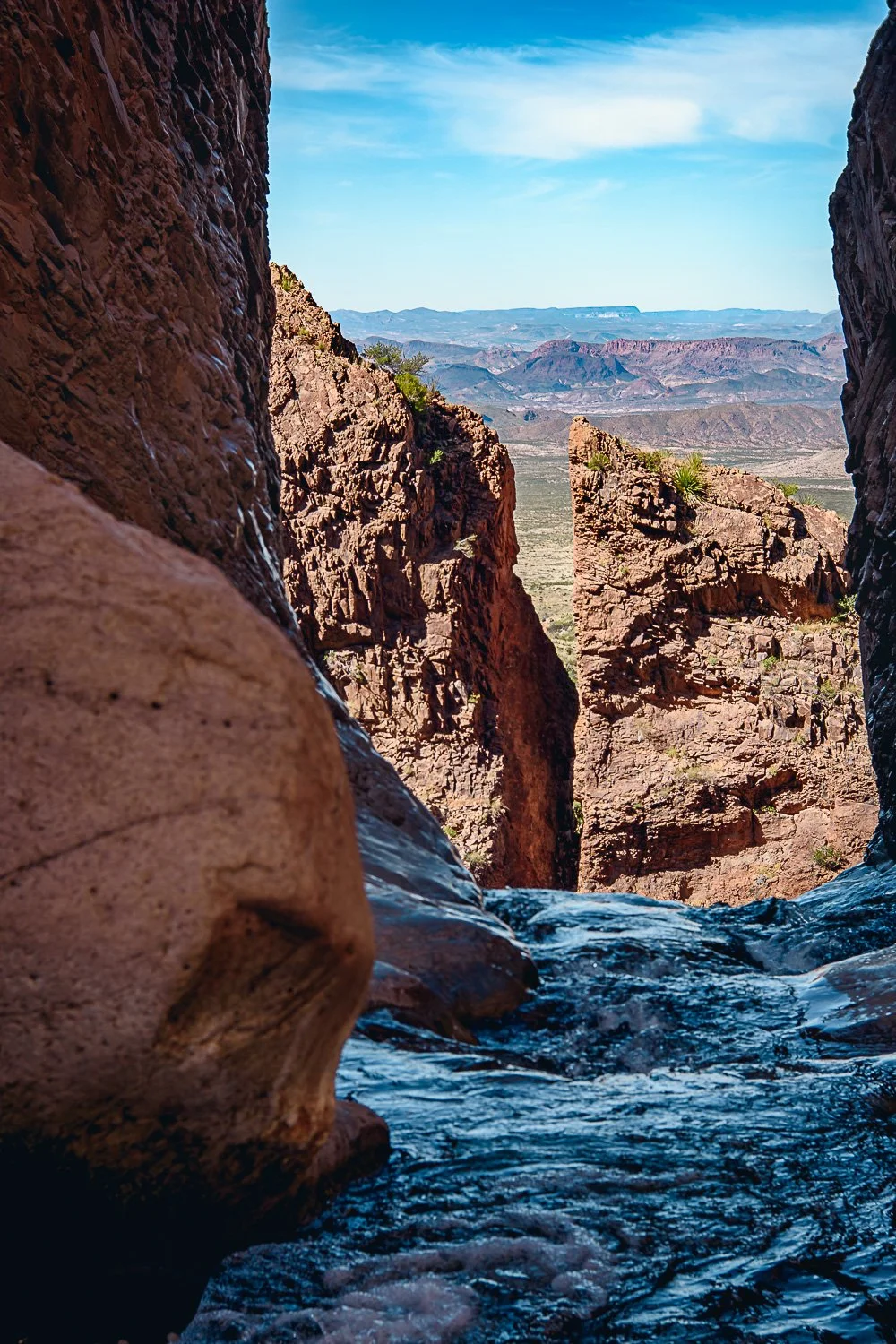 20181115_125532_5664_BigBend.jpg