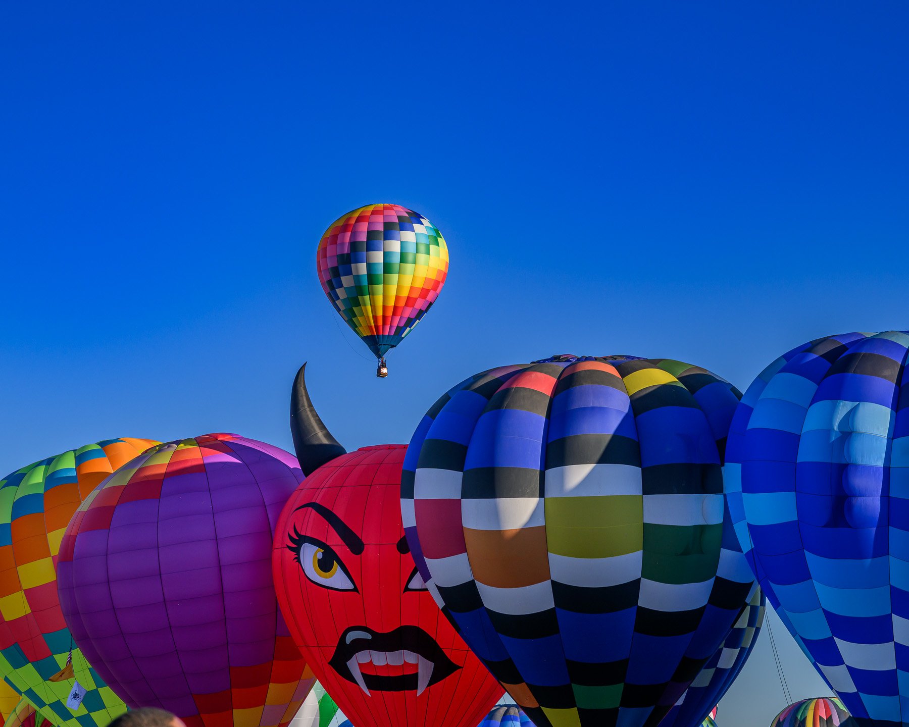 20261003_0755_7559_BalloonFiesta.jpg