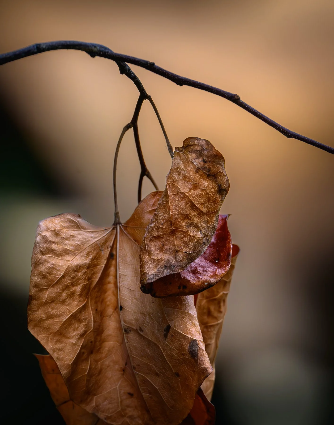 End of the Season