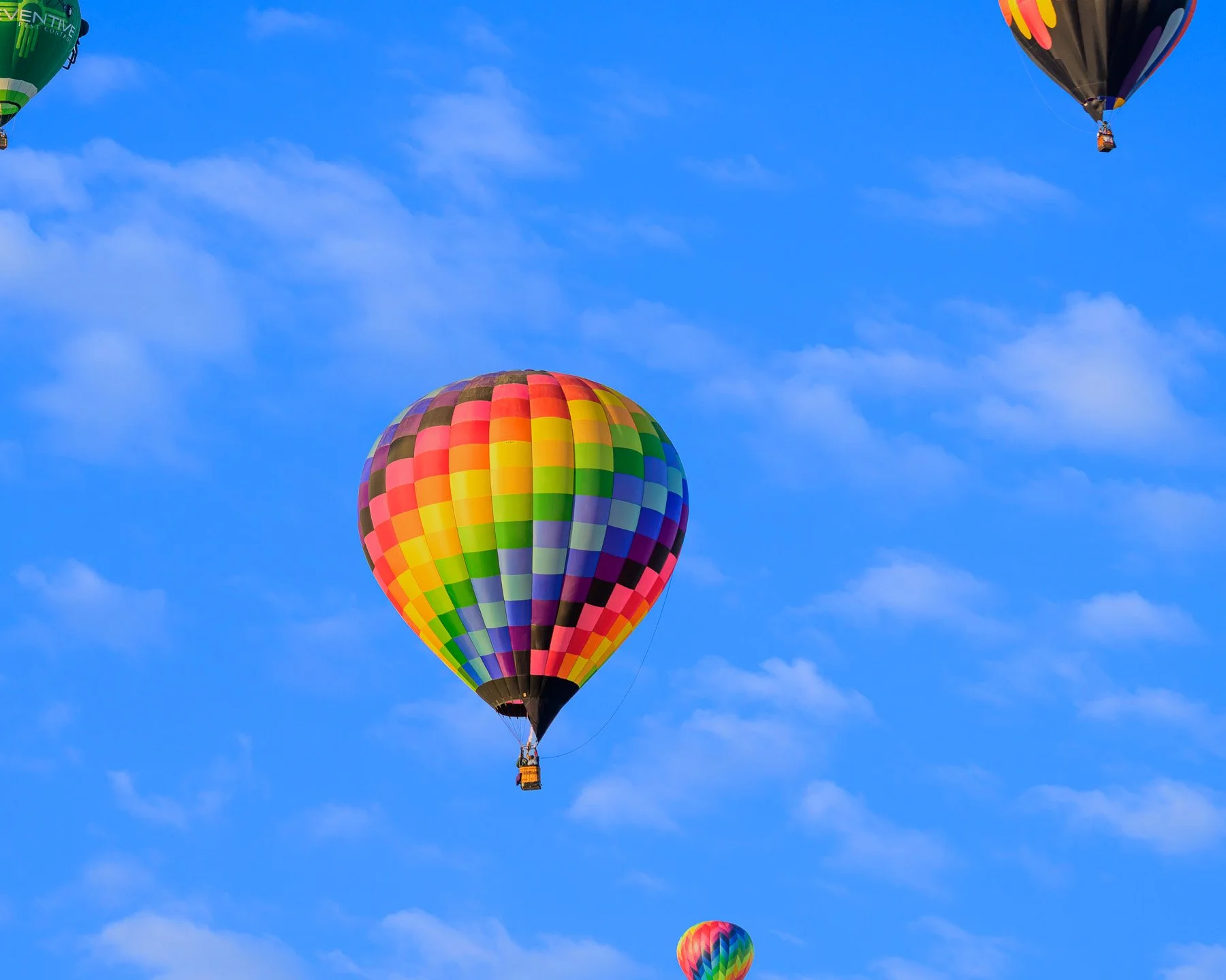 20241009-0838-2111-ABQ.jpg