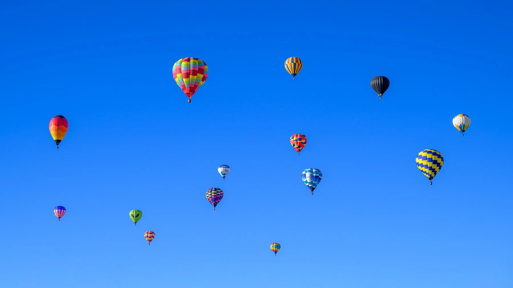 20261003_0751_7551_BalloonFiesta.jpg