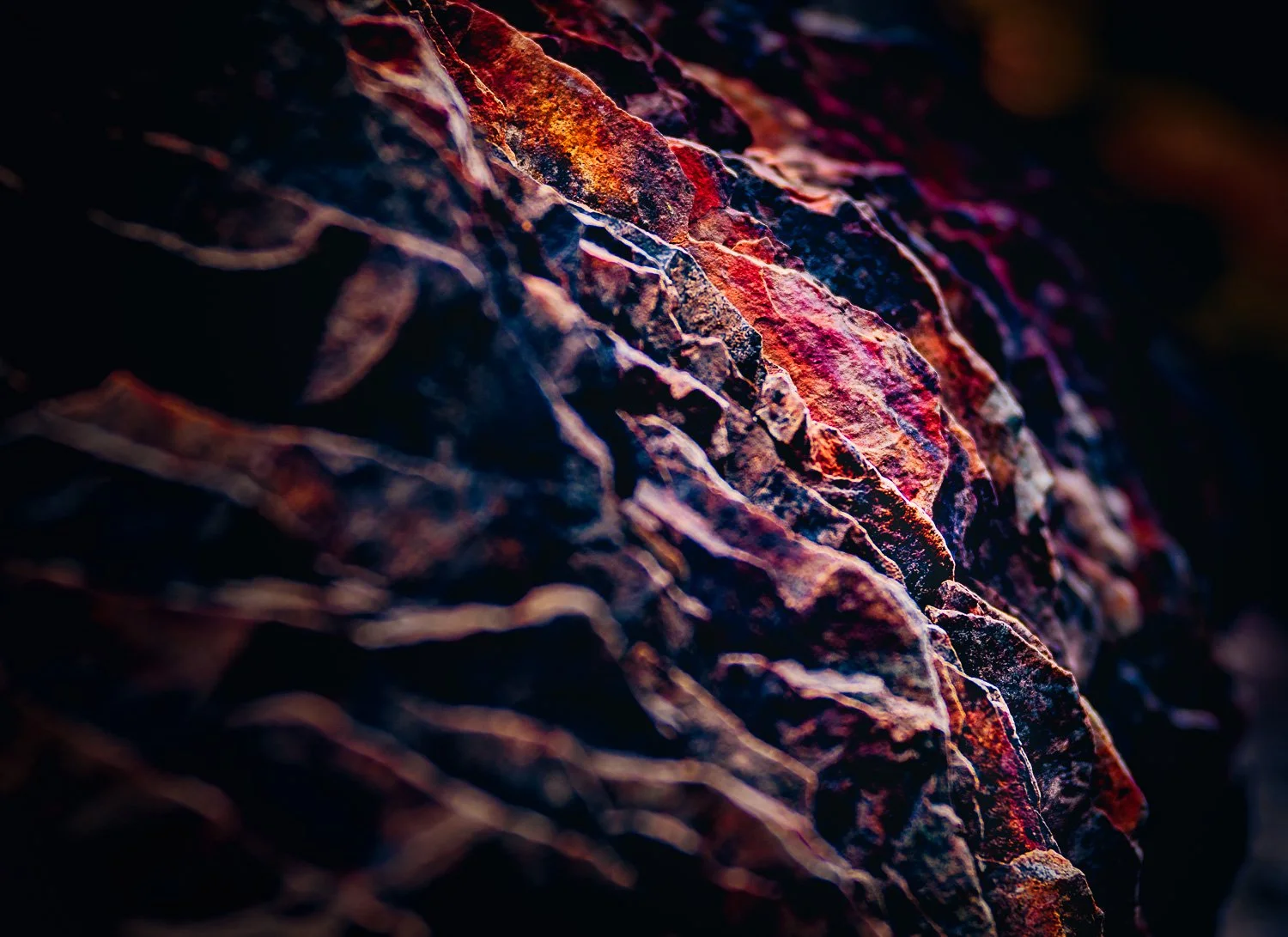 20181115_131745_5684_BigBend-Edit.jpg
