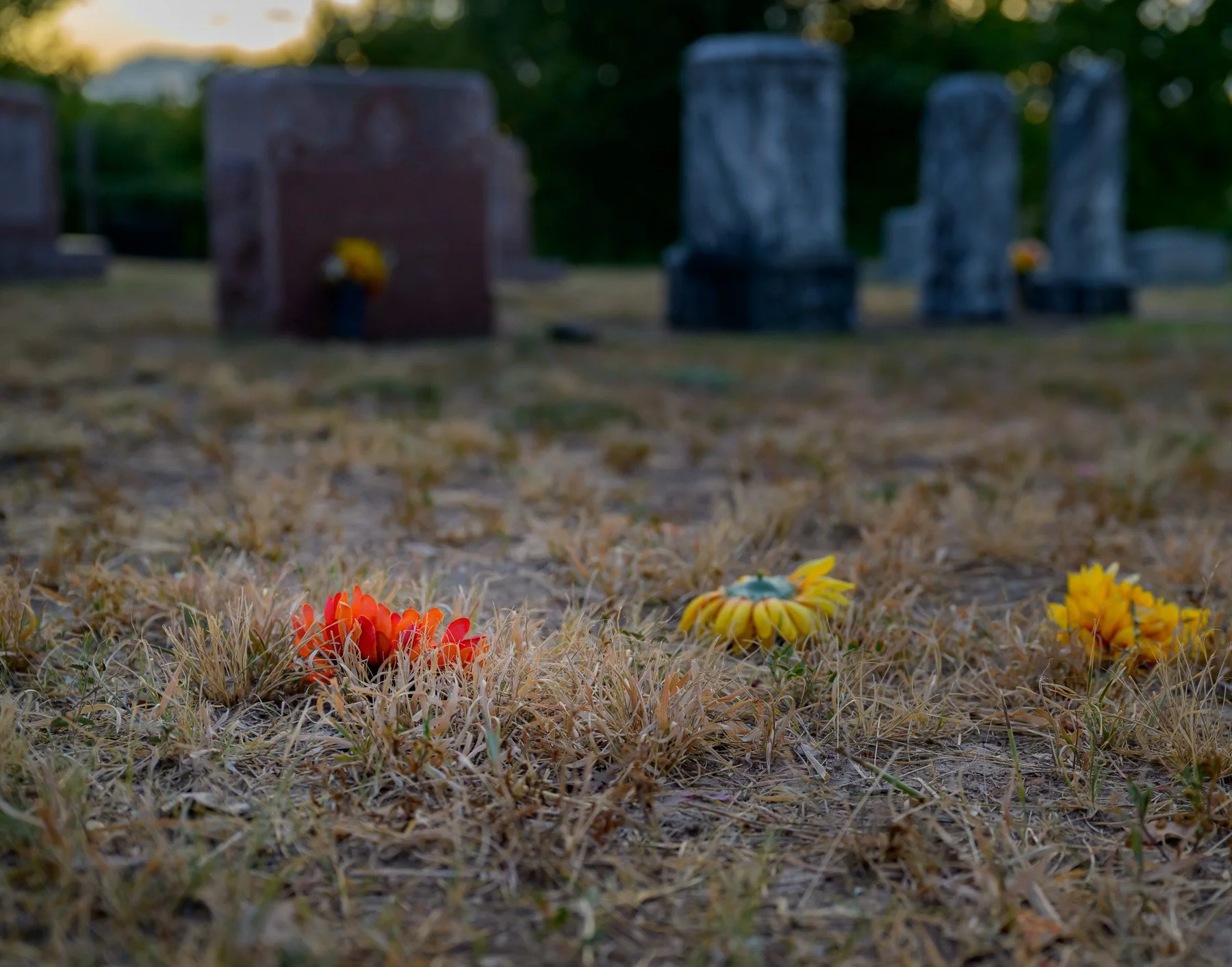 Forgotten Remembrances