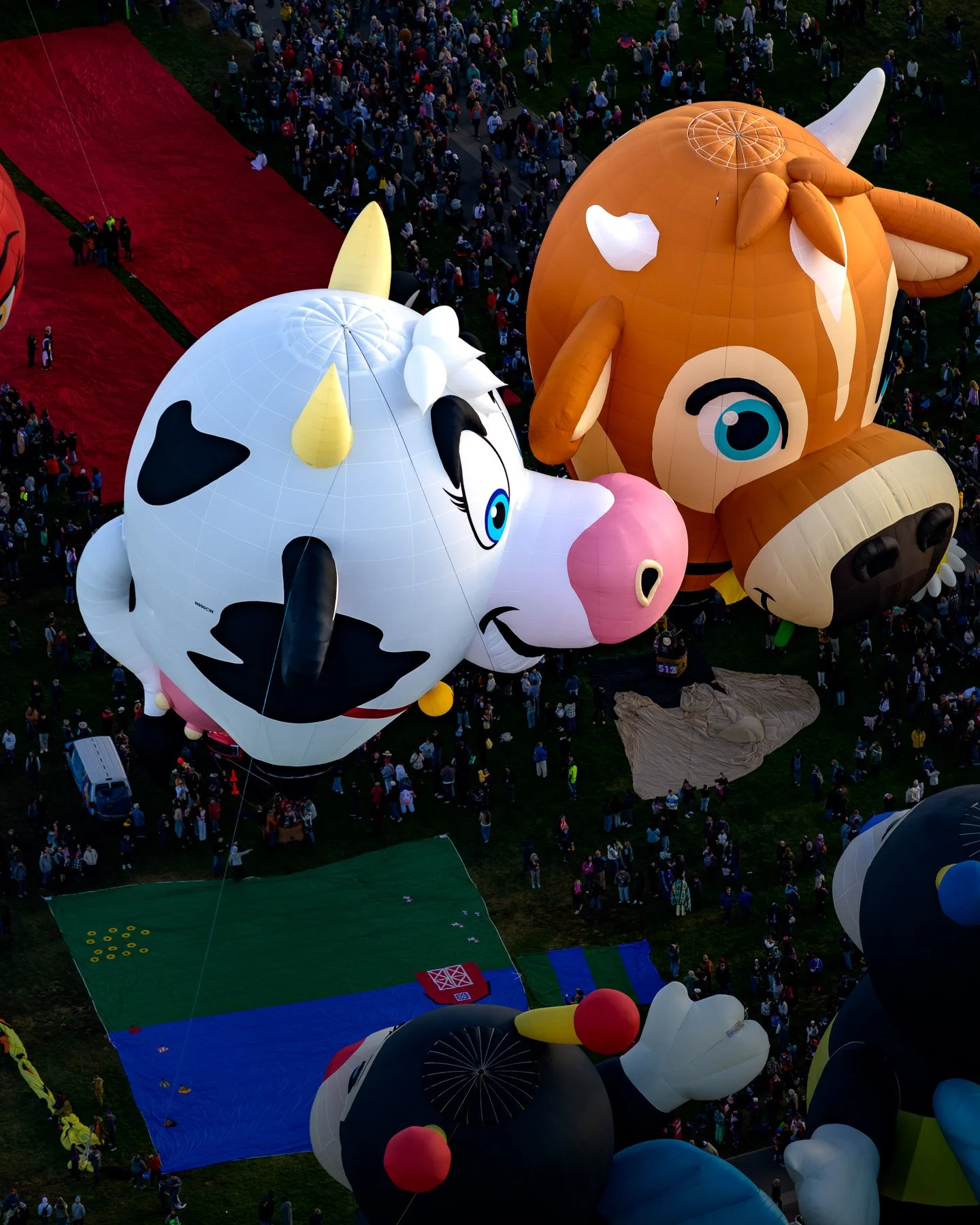 20251009_0802_5306_BalloonFiesta.jpg