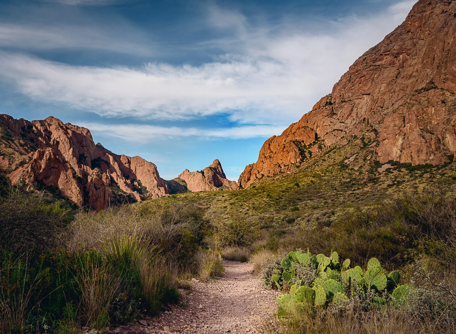 20181115_094052_5510_BigBend.jpg