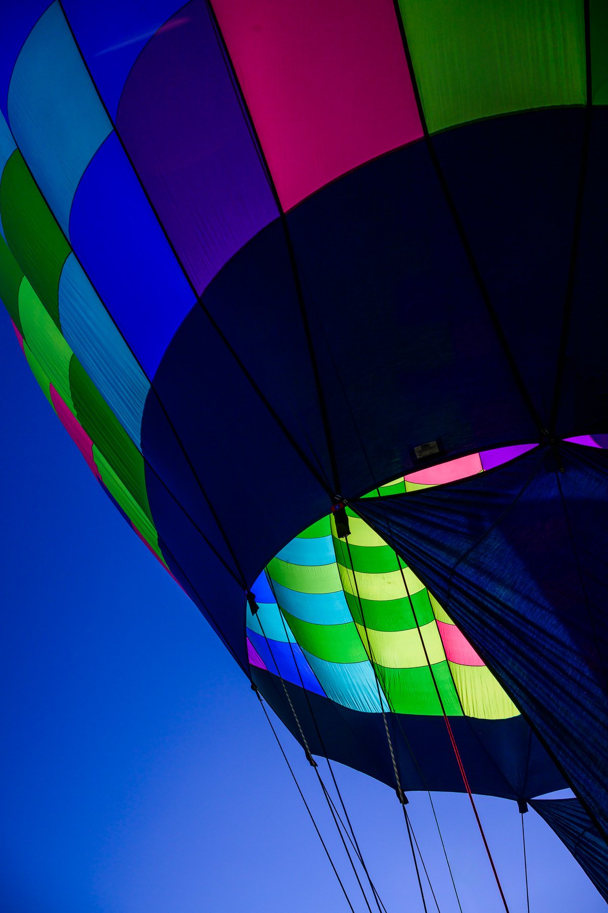 20261003_0808_7598_BalloonFiesta.jpg