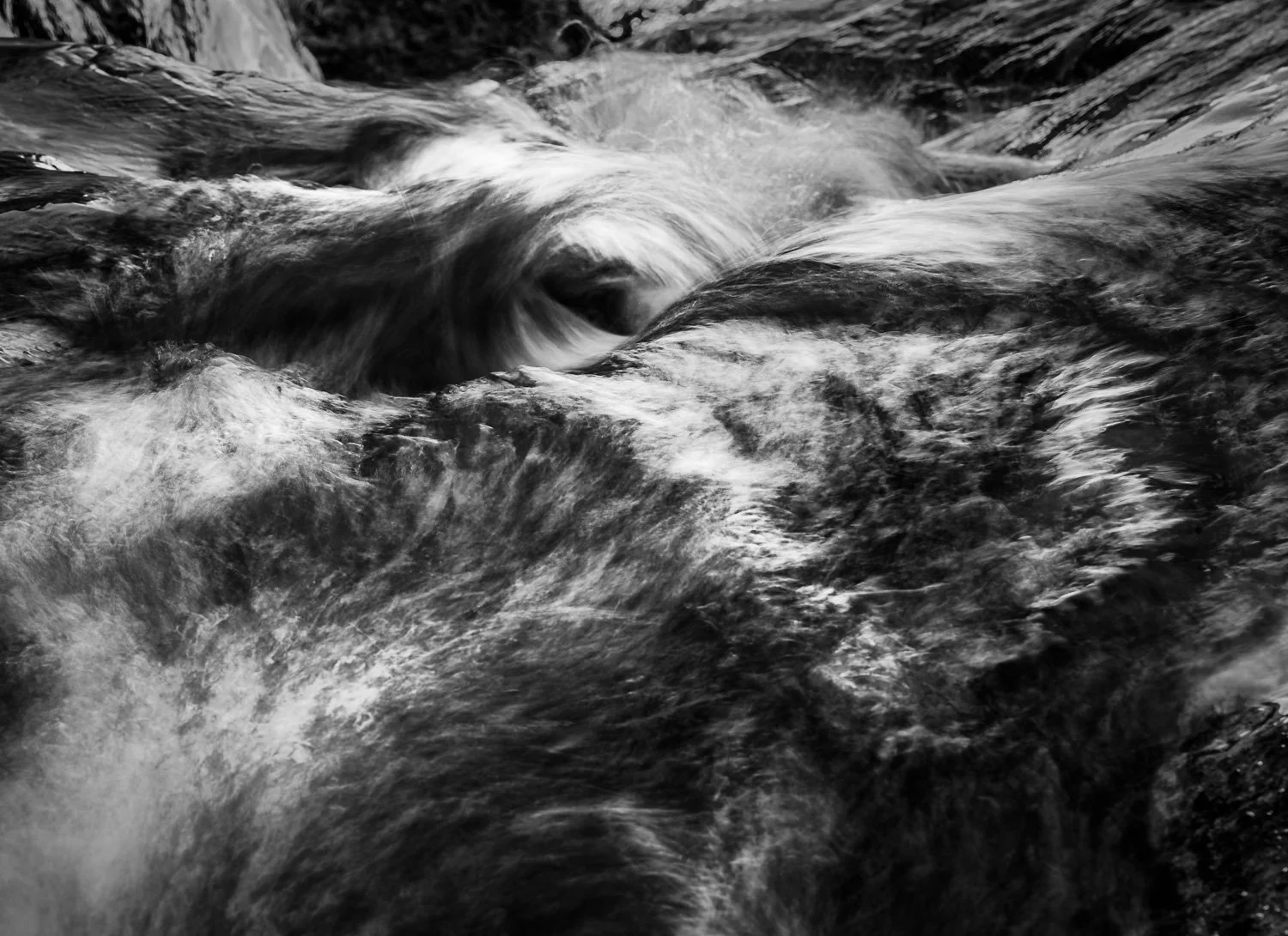 20181115_123004_5611_BigBend-Edit.jpg