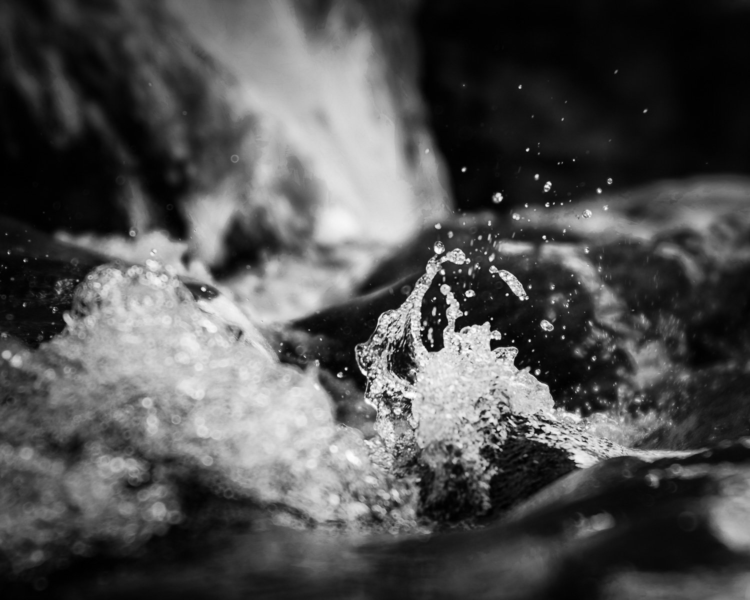 20181115_125356_5656_BigBend-Edit.jpg