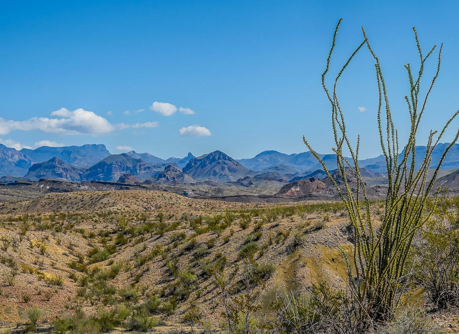 BigBend_20141010_6711-Edit.jpg