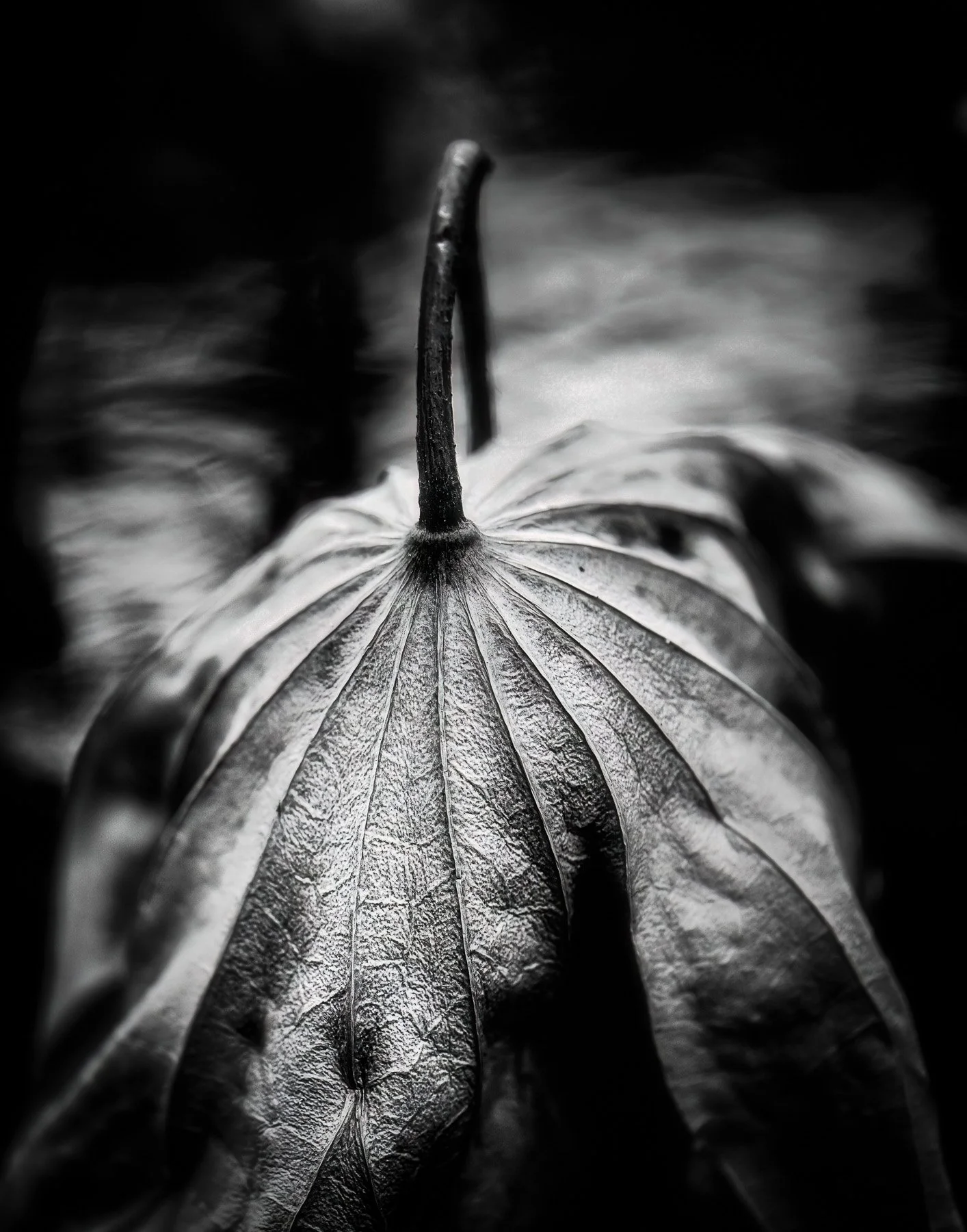 Bowed in Resignation