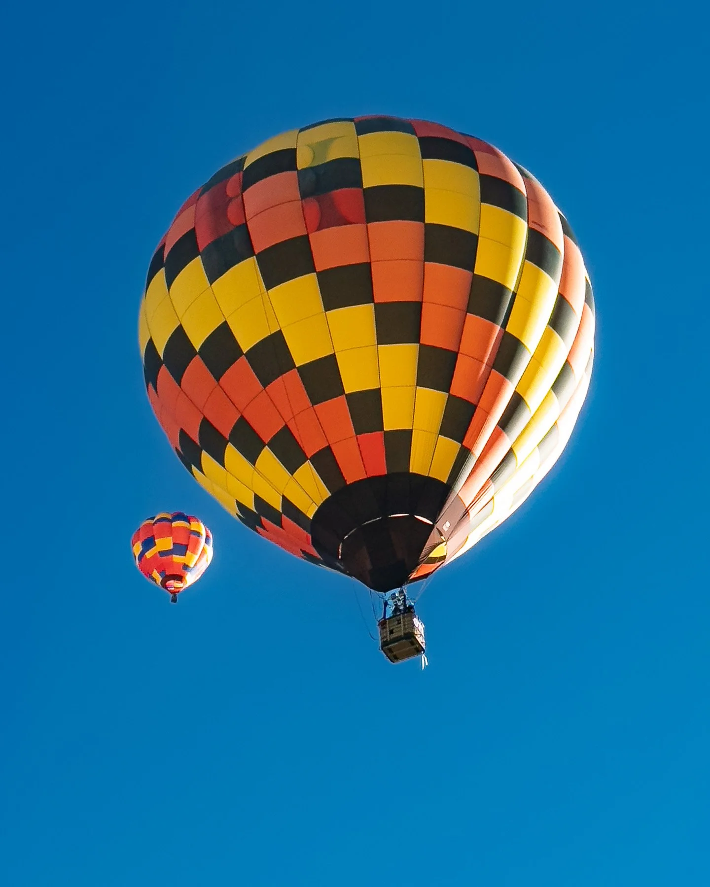 20251005_0758_7662_BalloonFiesta.jpg