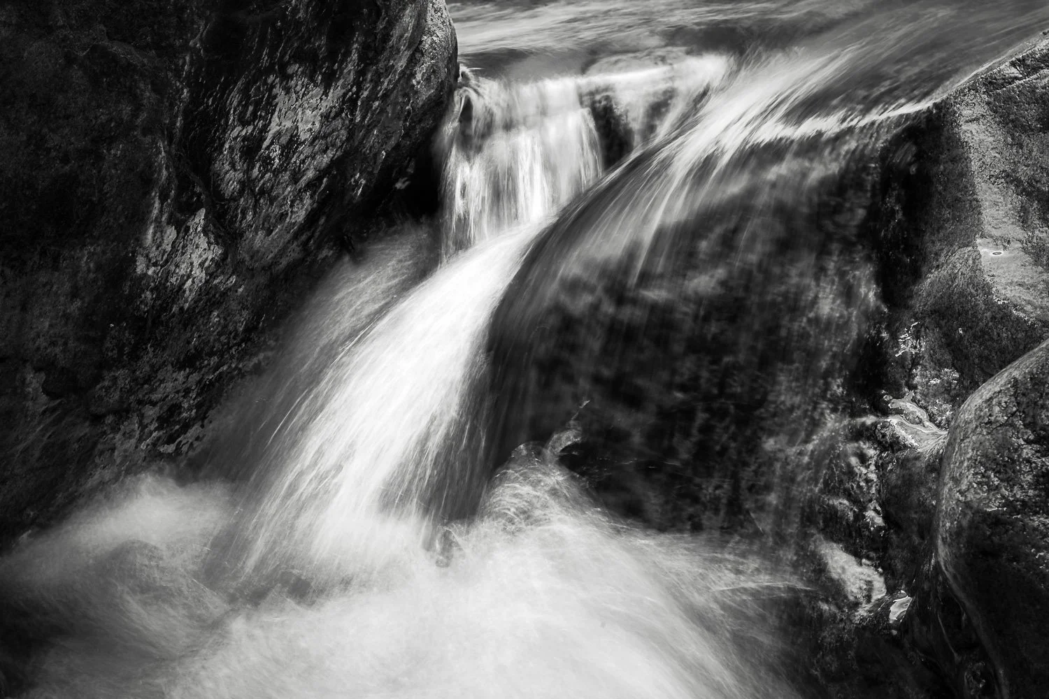 20181115_130729_5673_BigBend-Edit.jpg