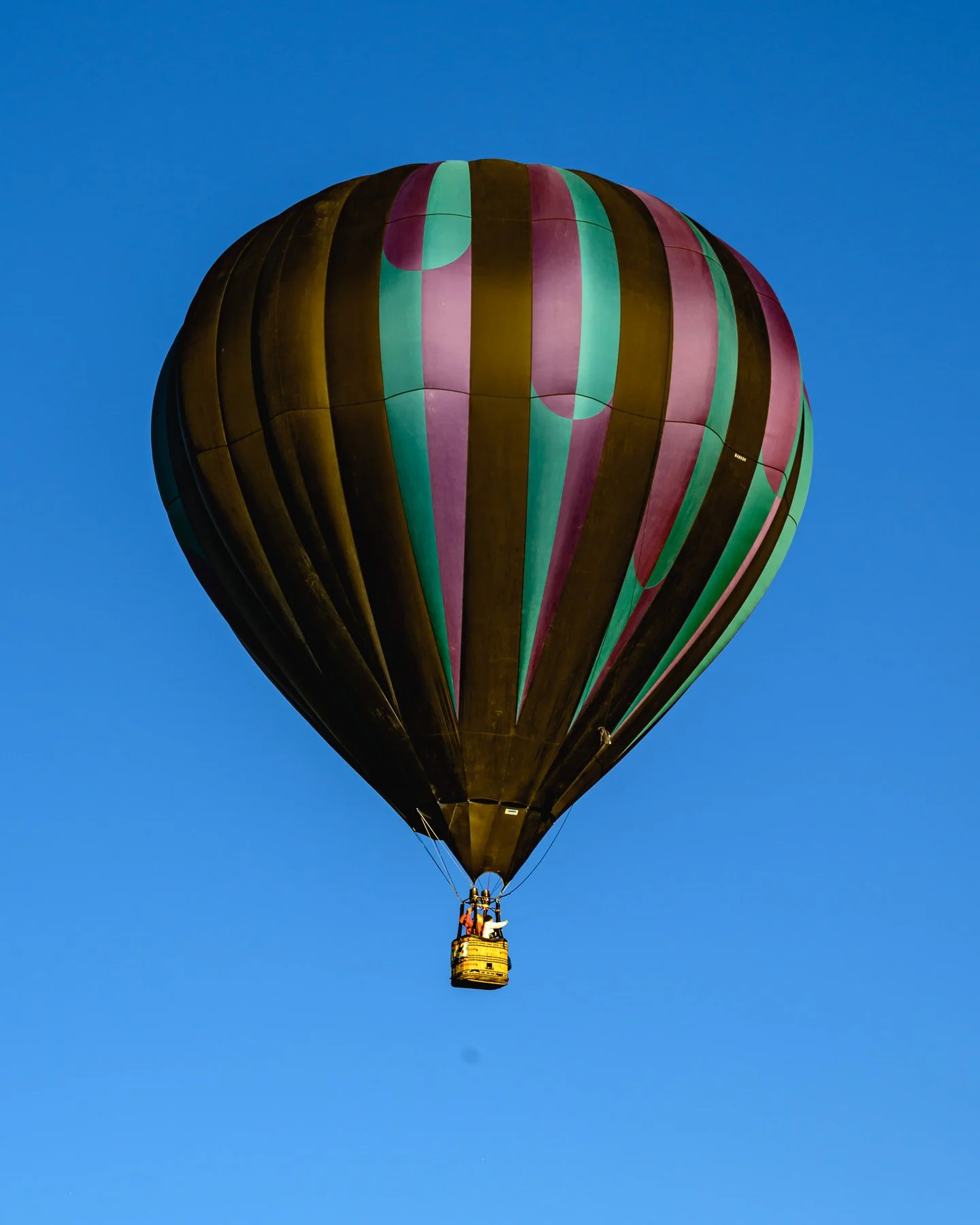 20261003_0752_7552_BalloonFiesta.jpg