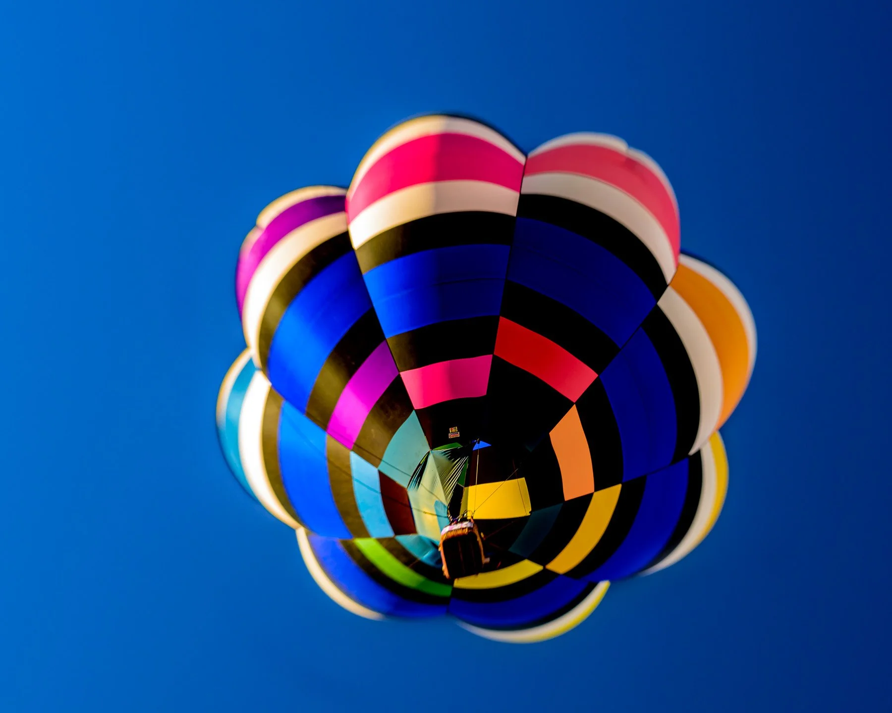 20251005_0830_5032_BalloonFiesta.jpg