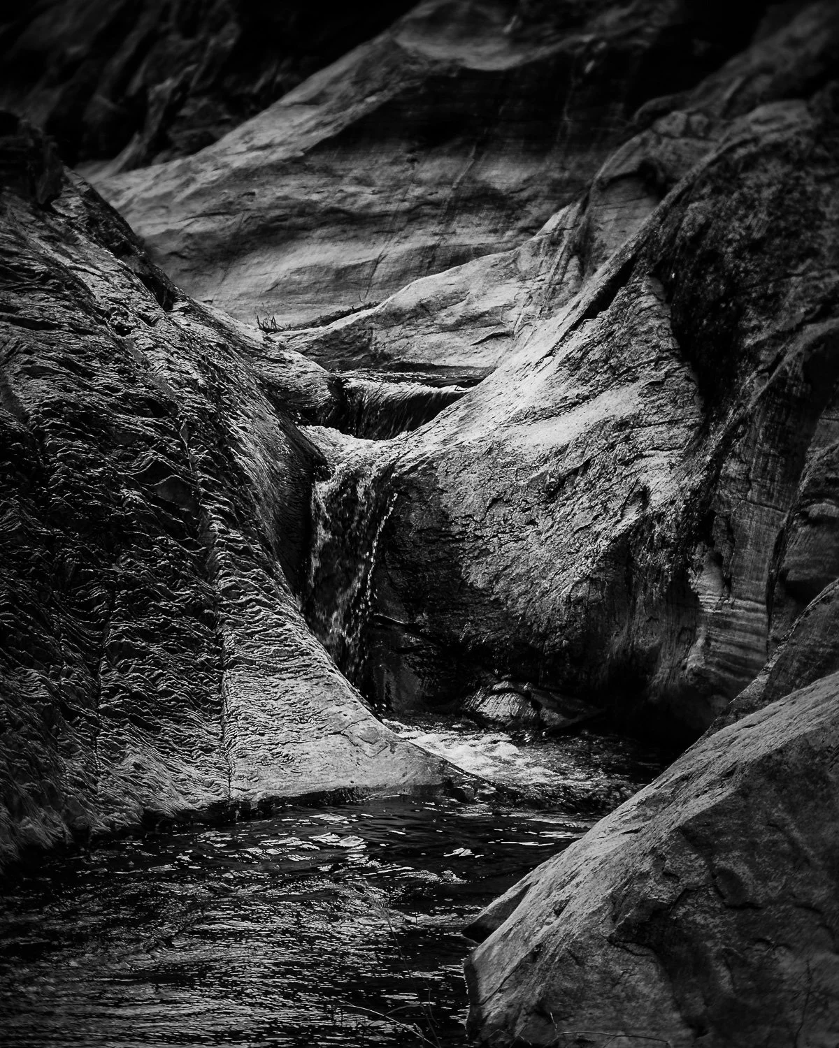 20181115_131515_5681_BigBend-Edit.jpg