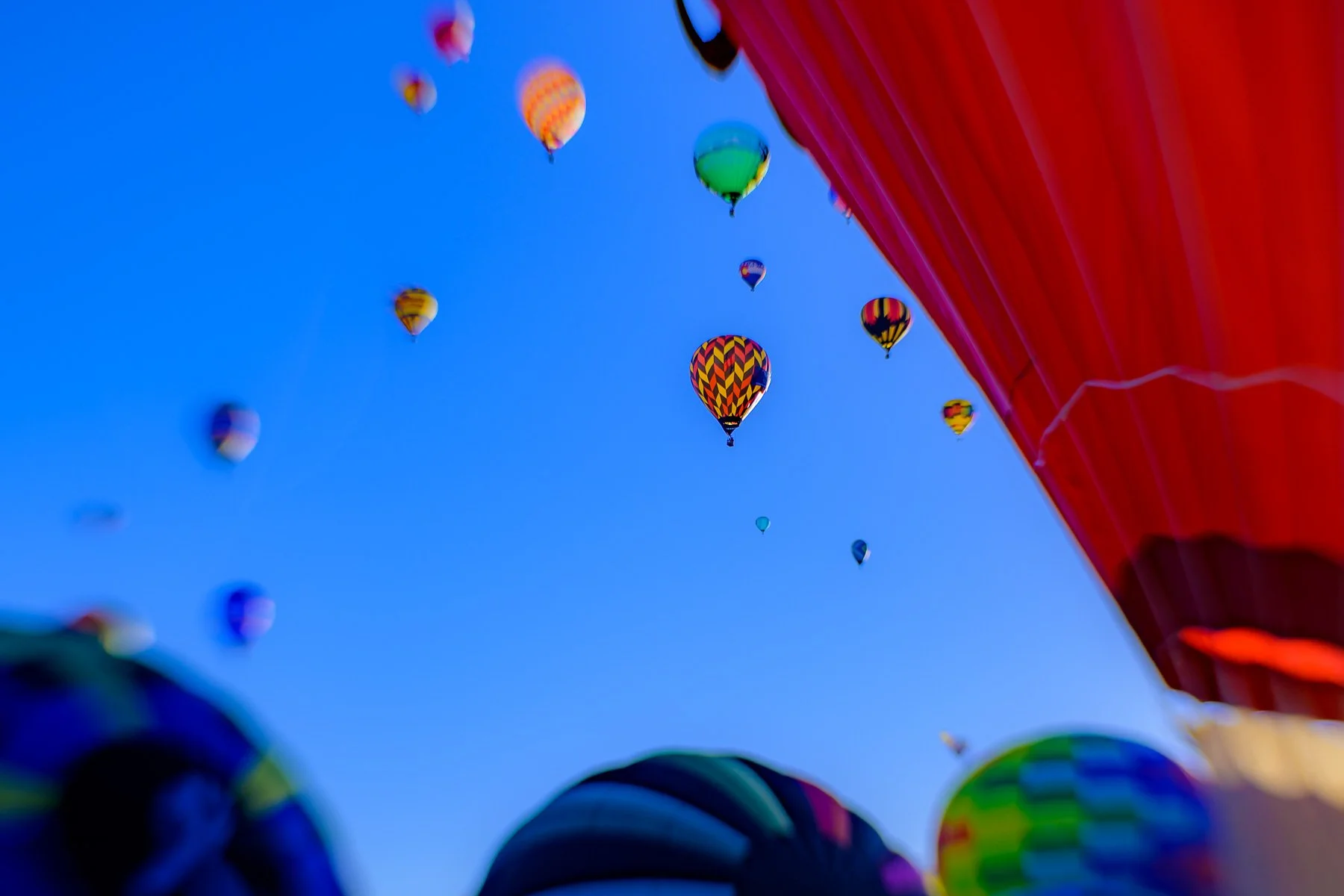 20251005_0744_4876_BalloonFiesta.jpg