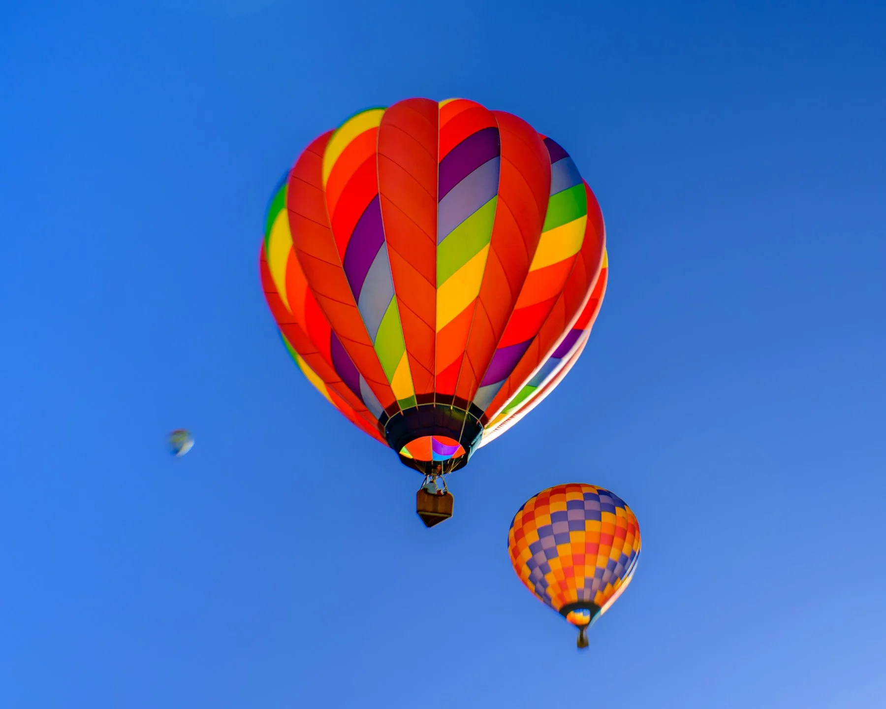20251005_0815_4917_BalloonFiesta.jpg