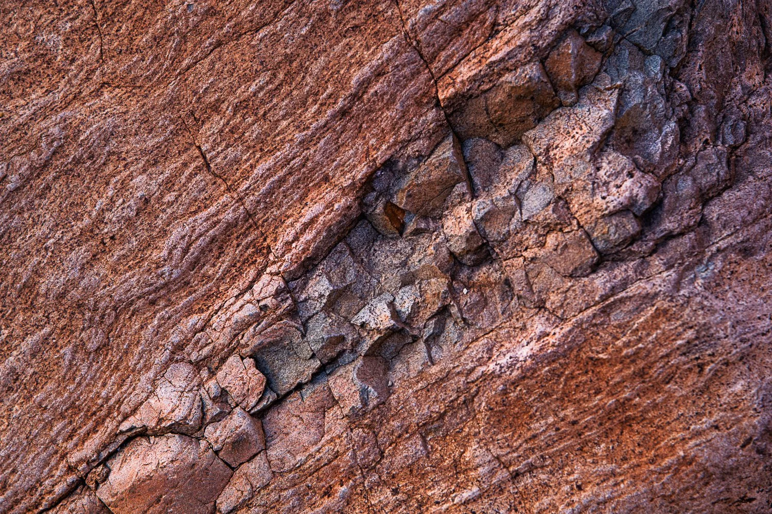 BigBend_20210414_2190.jpg