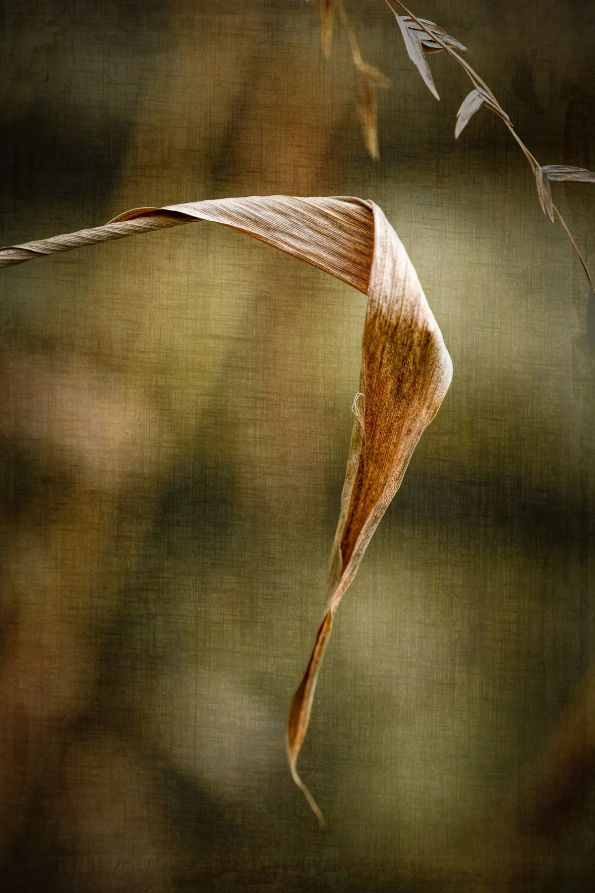 Origami