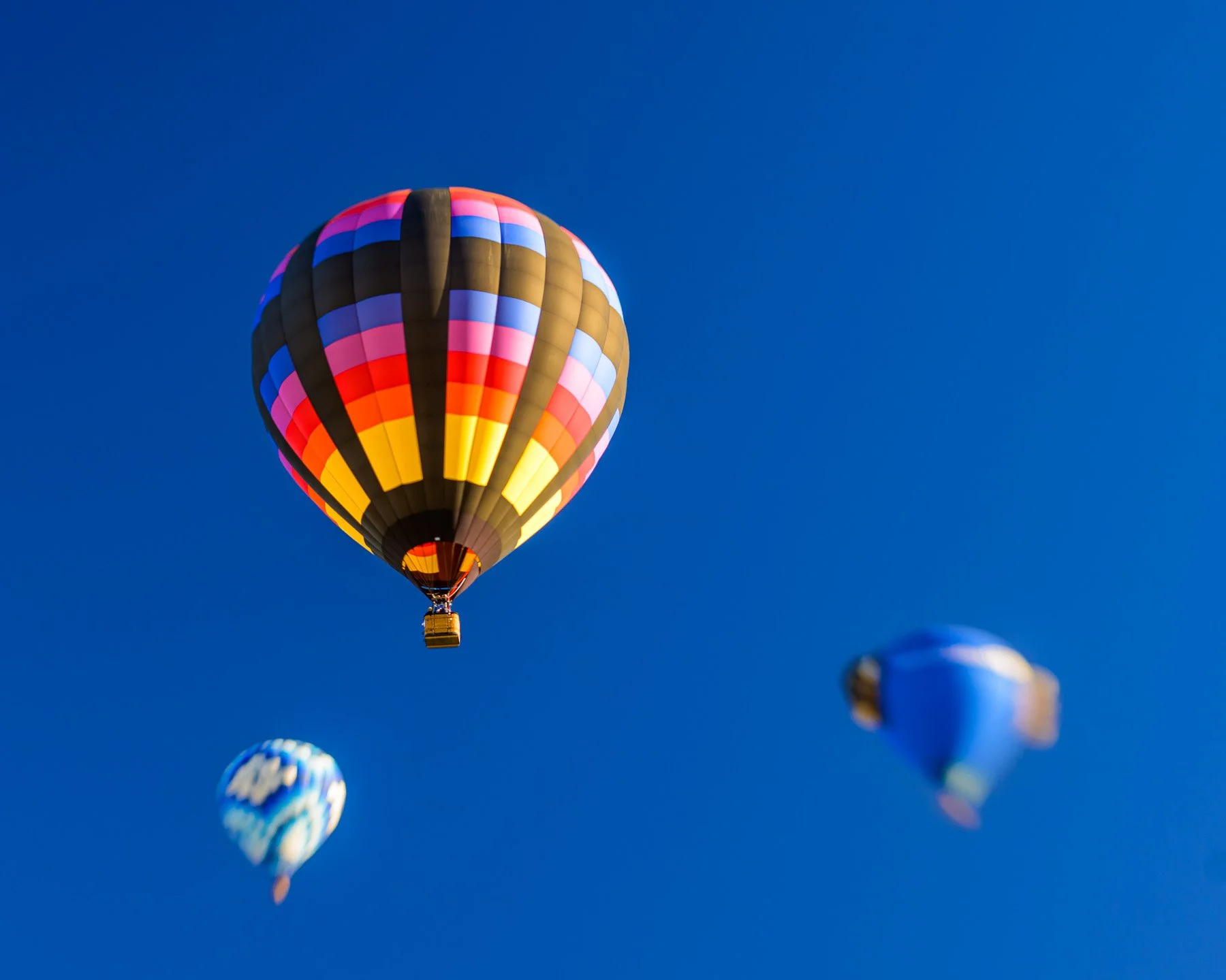 20251005_0829_5030_BalloonFiesta.jpg