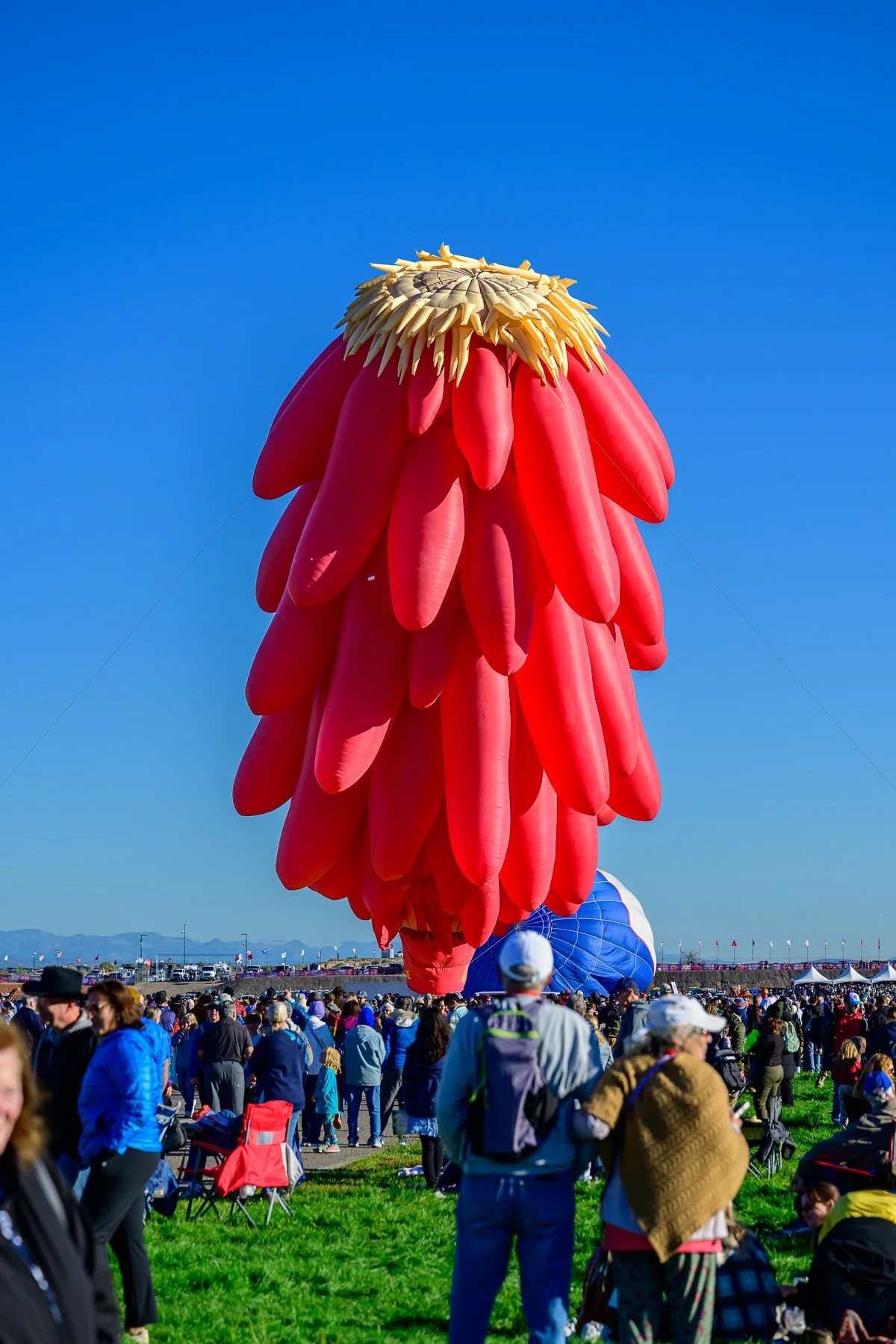 20261003_0851_7692_BalloonFiesta.jpg
