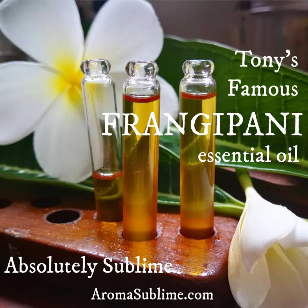 Frangipani Essential Oil 
