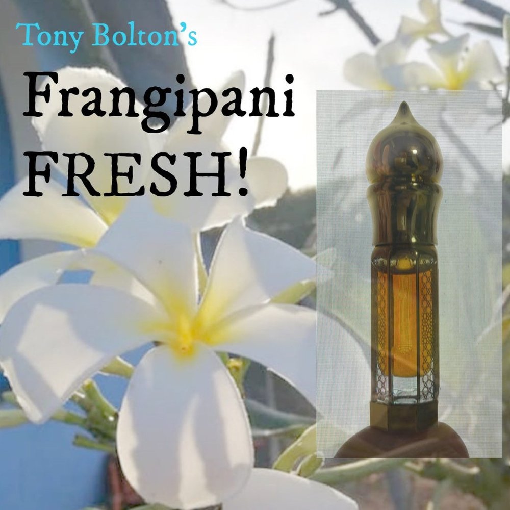 FRANGIPANI FRESH - the impossible oil, made fresh! — AromaSublime
