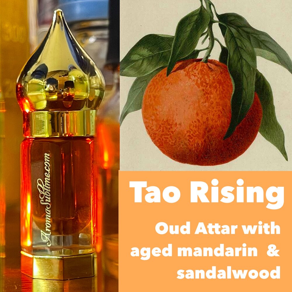 ZEN ONE - Japanese Sandalwood essential oil, Japan. genuine Zen temple  sacred sandalwood. 100% — AromaSublime
