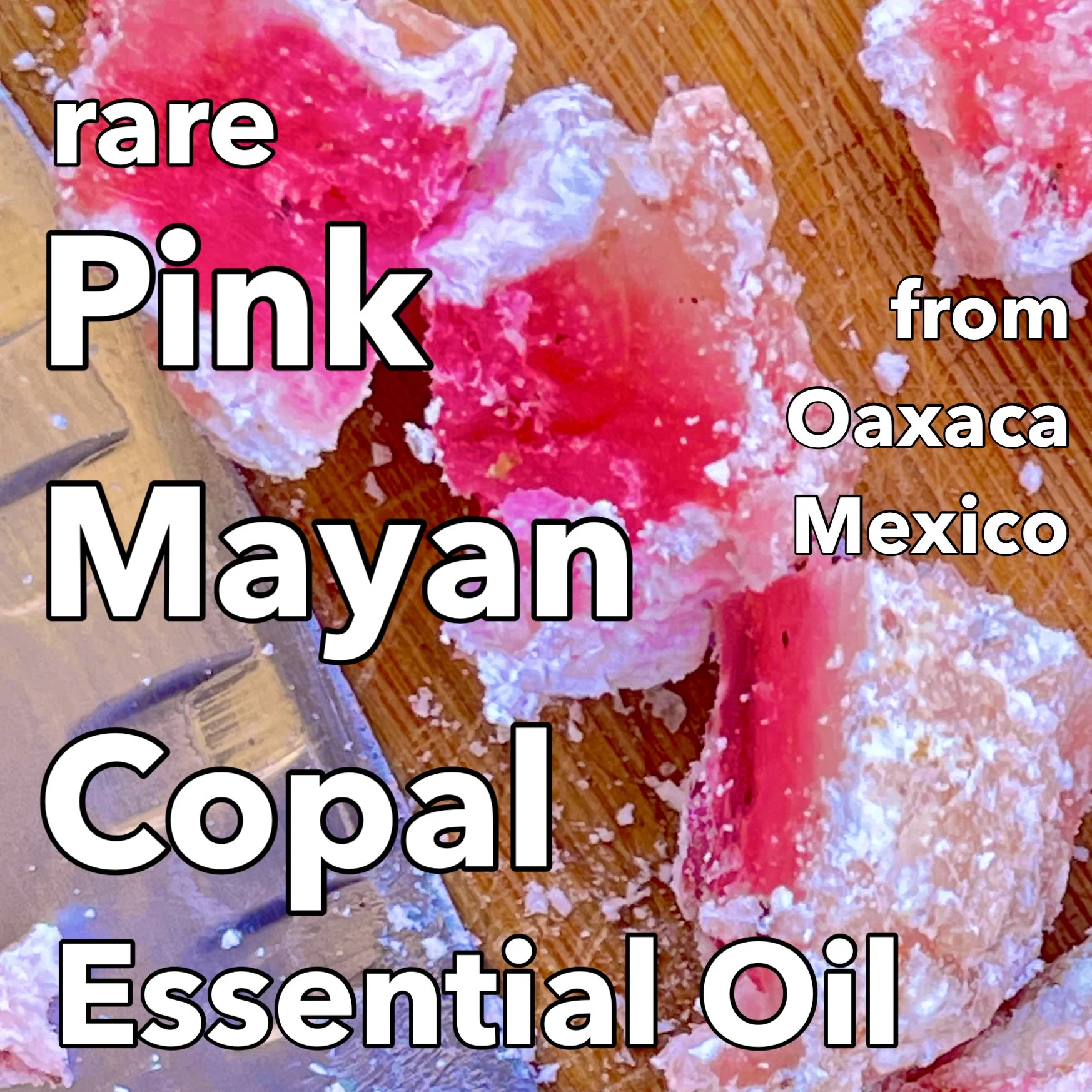 Rare Mayan Pink Copal essential oil 3ml • in-house distillation of Pink Bursera bipinnata • Oaxaca Mexico