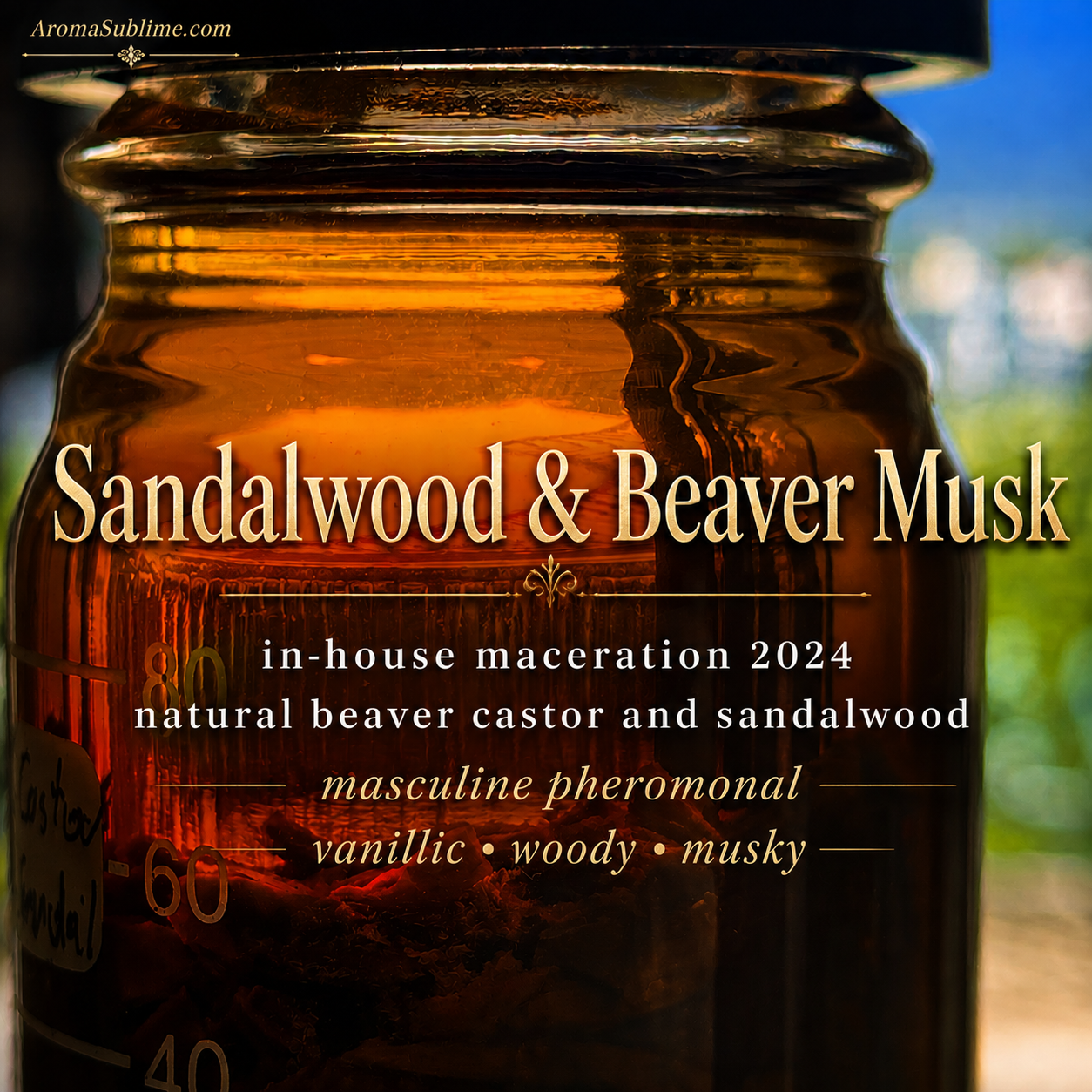 Sandalwood Castoreum Maceration 2024 • in-house beaver castor (musk) and sandalwood • Indonesia/ Canada