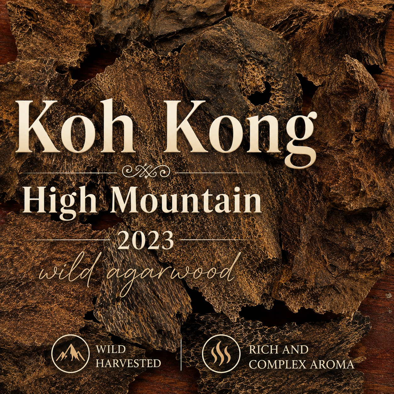 KOH KONG HIGH MOUNTAIN 2023 • single-tree wild agarwood • Koh Kong Cambodia