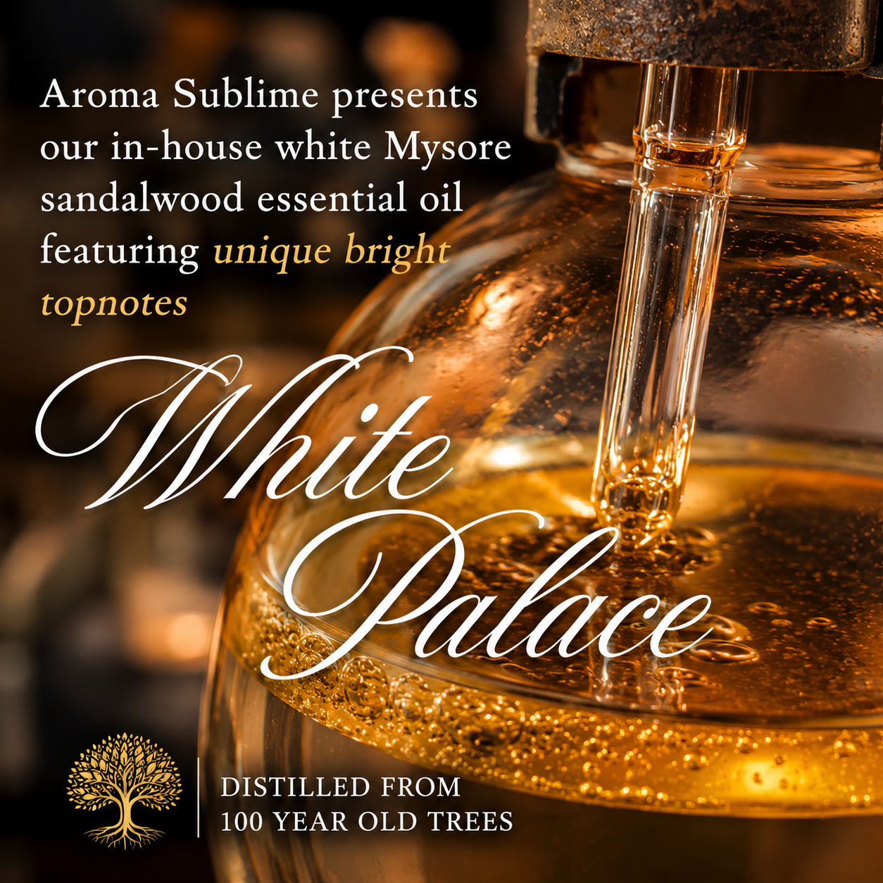 WHITE PALACE 2023 sandalwood • white Mysore pure sandalwood essential oil in-house distilled • INDIA