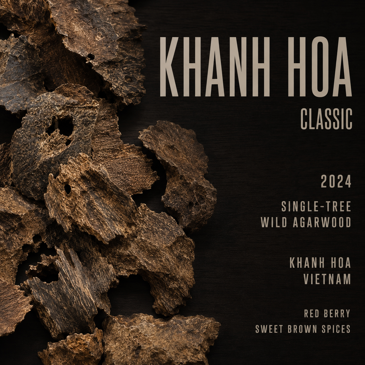 KHANH HOA CLASSIC 2024 • single-tree wild agarwood • Khanh Hoa Vietnam