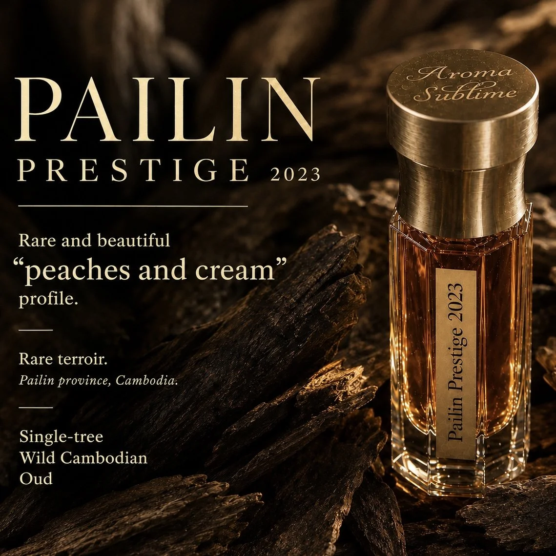 PAILIN PRESTIGE "PEACHES & CREAM" SINGLE RESERVE ​2023 • ​Single-tree, 100% wild Oud • ​rare Cardamom Mountains, P​ailin Province, Cambodia​ 