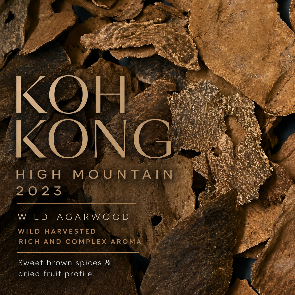 KOH KONG HIGH MOUNTAIN 2023 • single-tree wild agarwood • Koh Kong Cambodia