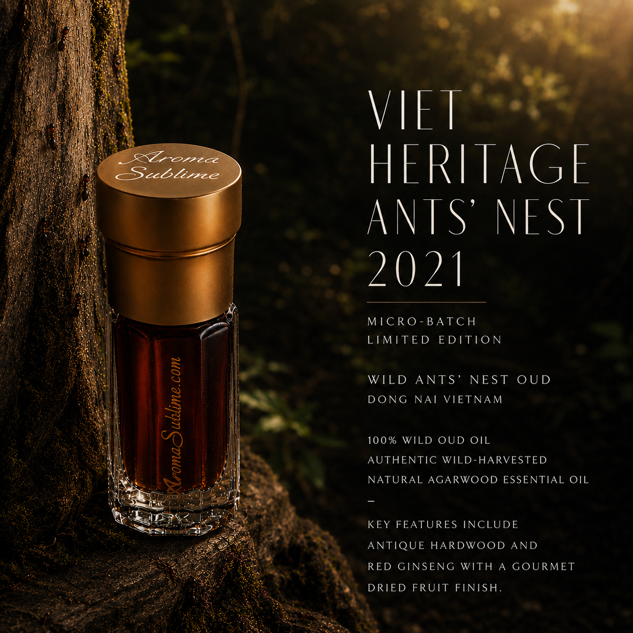 VIET HERITAGE ANTS' NEST 2021 • 100% Wild Ants' Nest Oud • Dong Nai, Vietnam