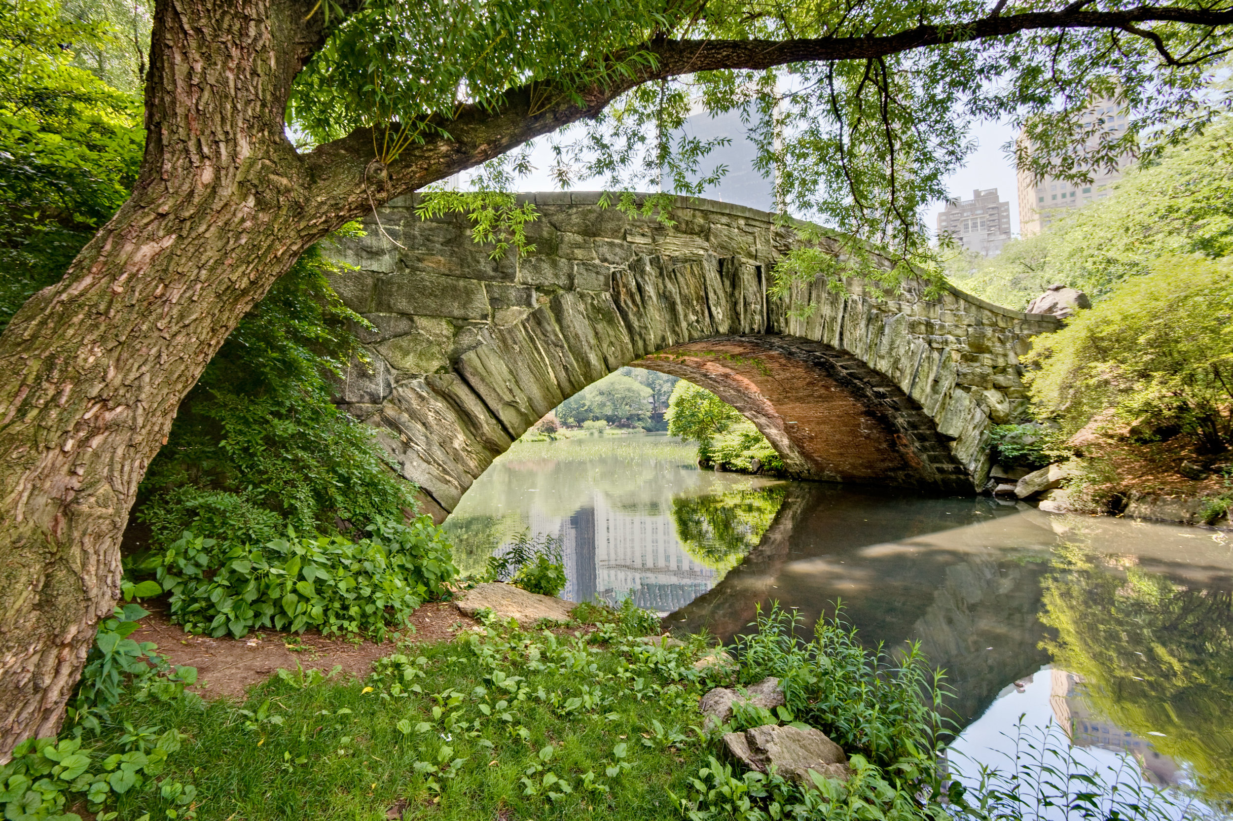 AdobeStock_9661760.jpeg
