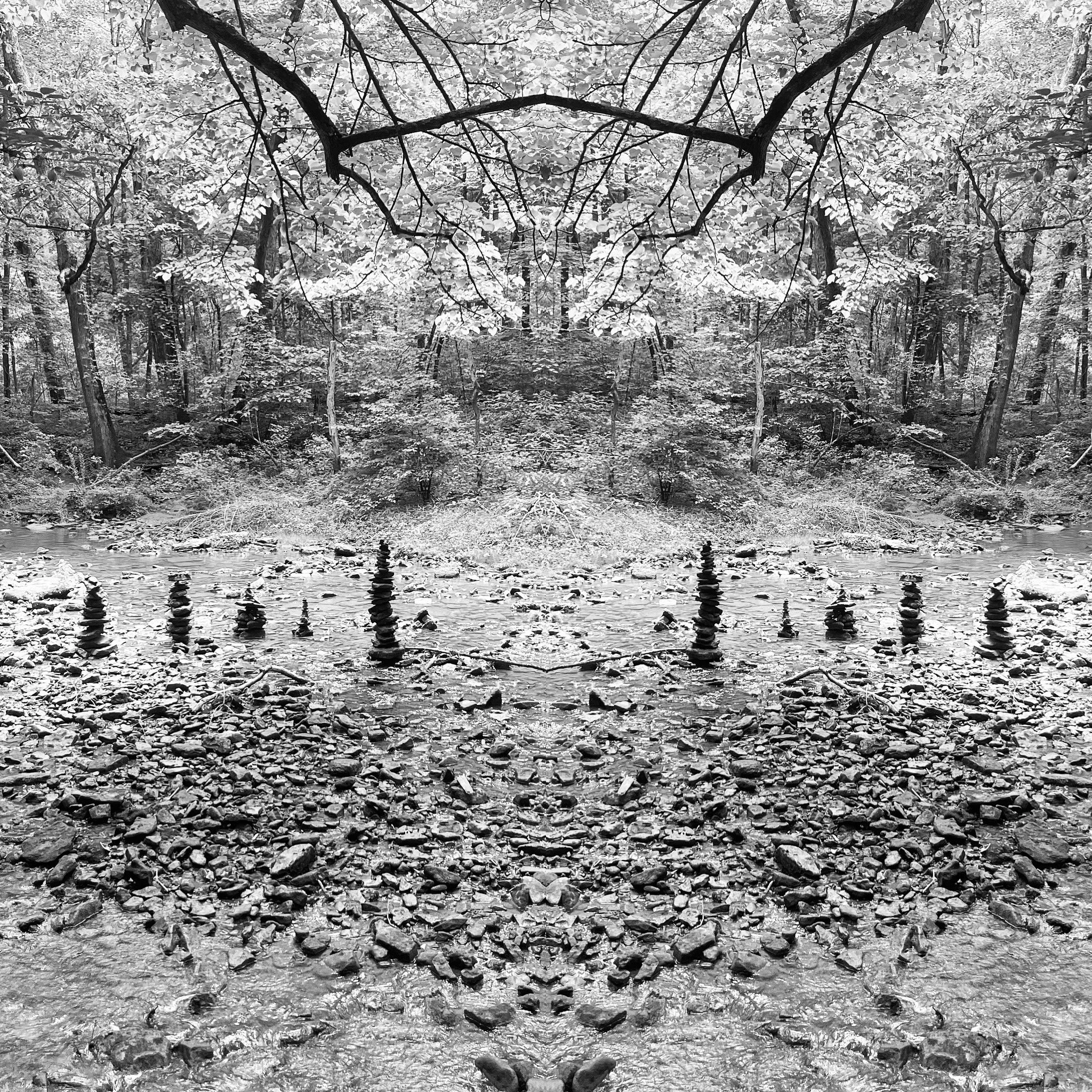 F1373008-8B9C-4D44-94E5-84864139B1D5.jpeg