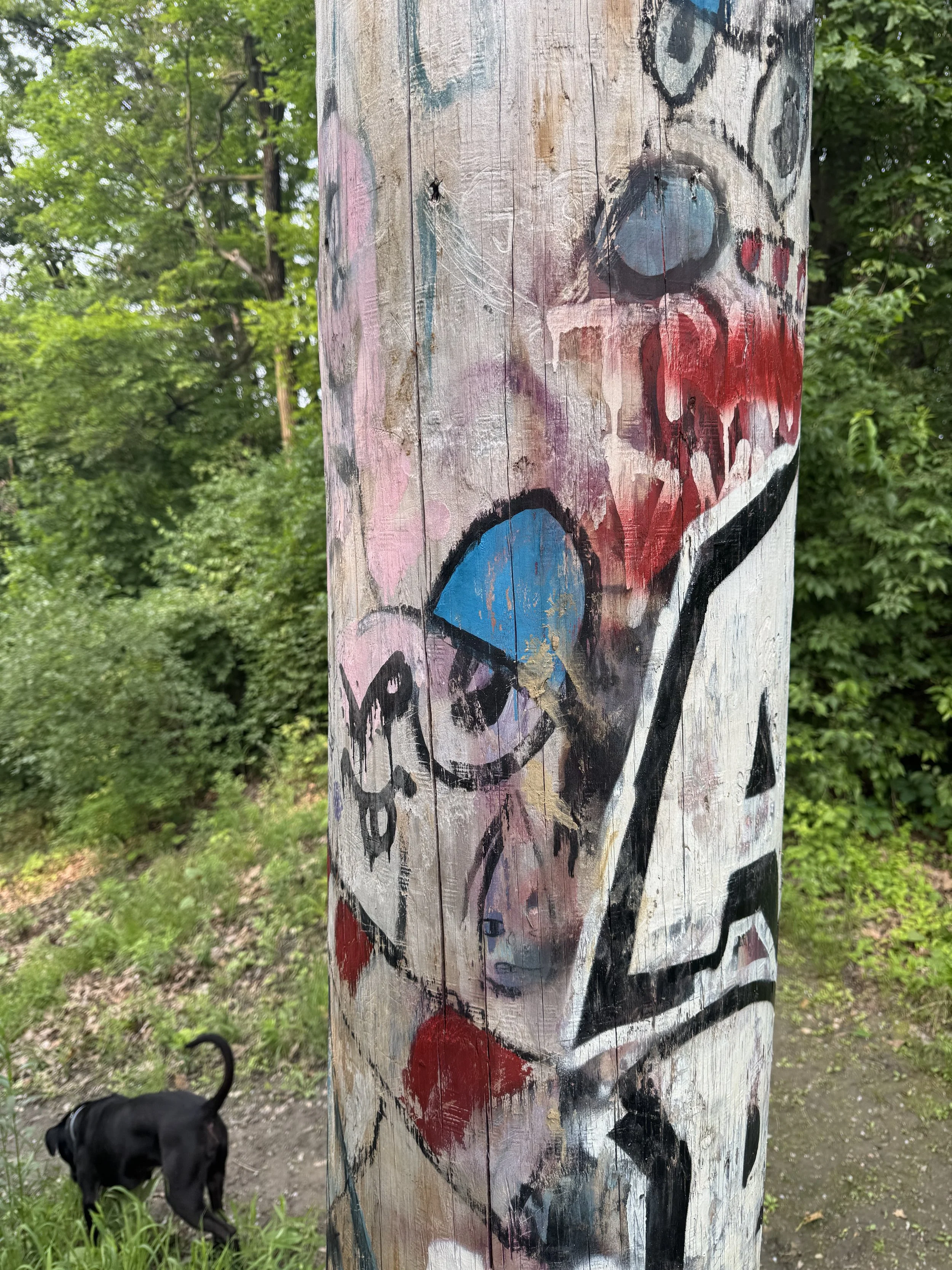 IMG_3971.jpeg
