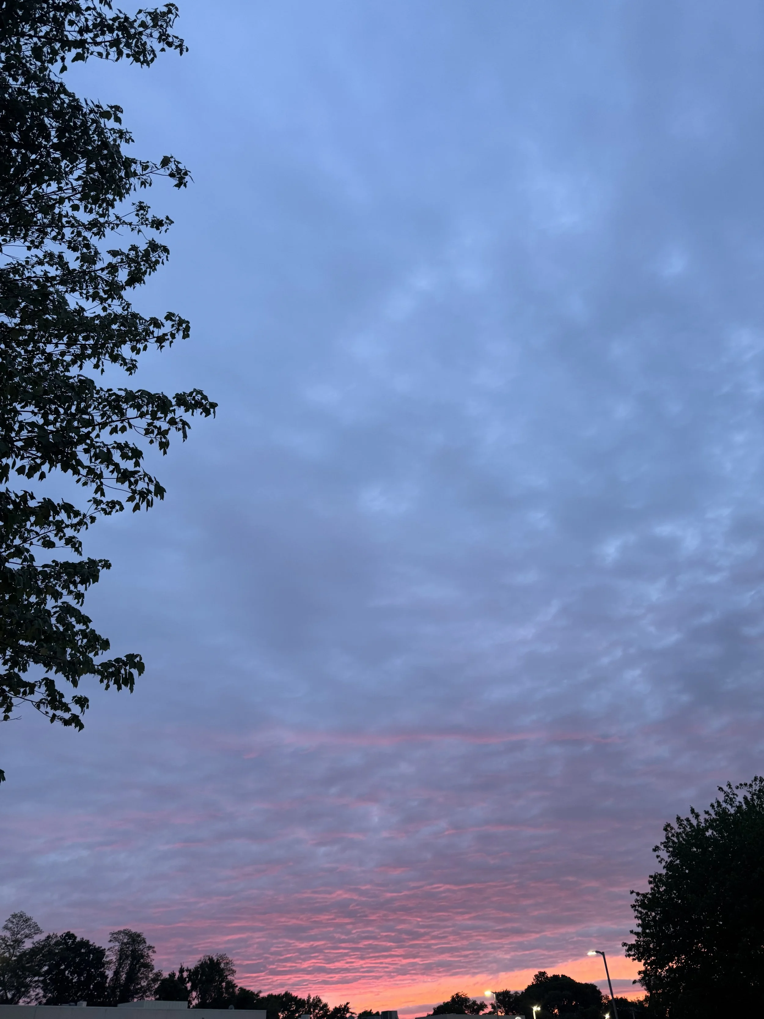 IMG_8947.jpeg