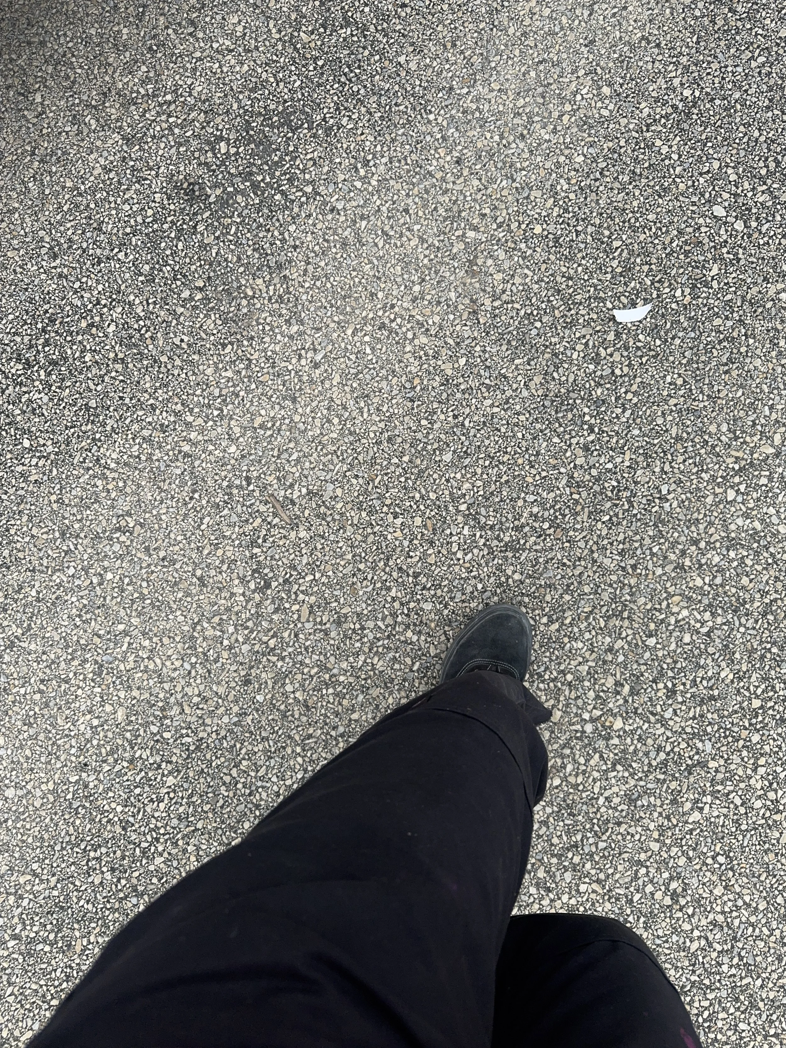 IMG_8959.jpeg