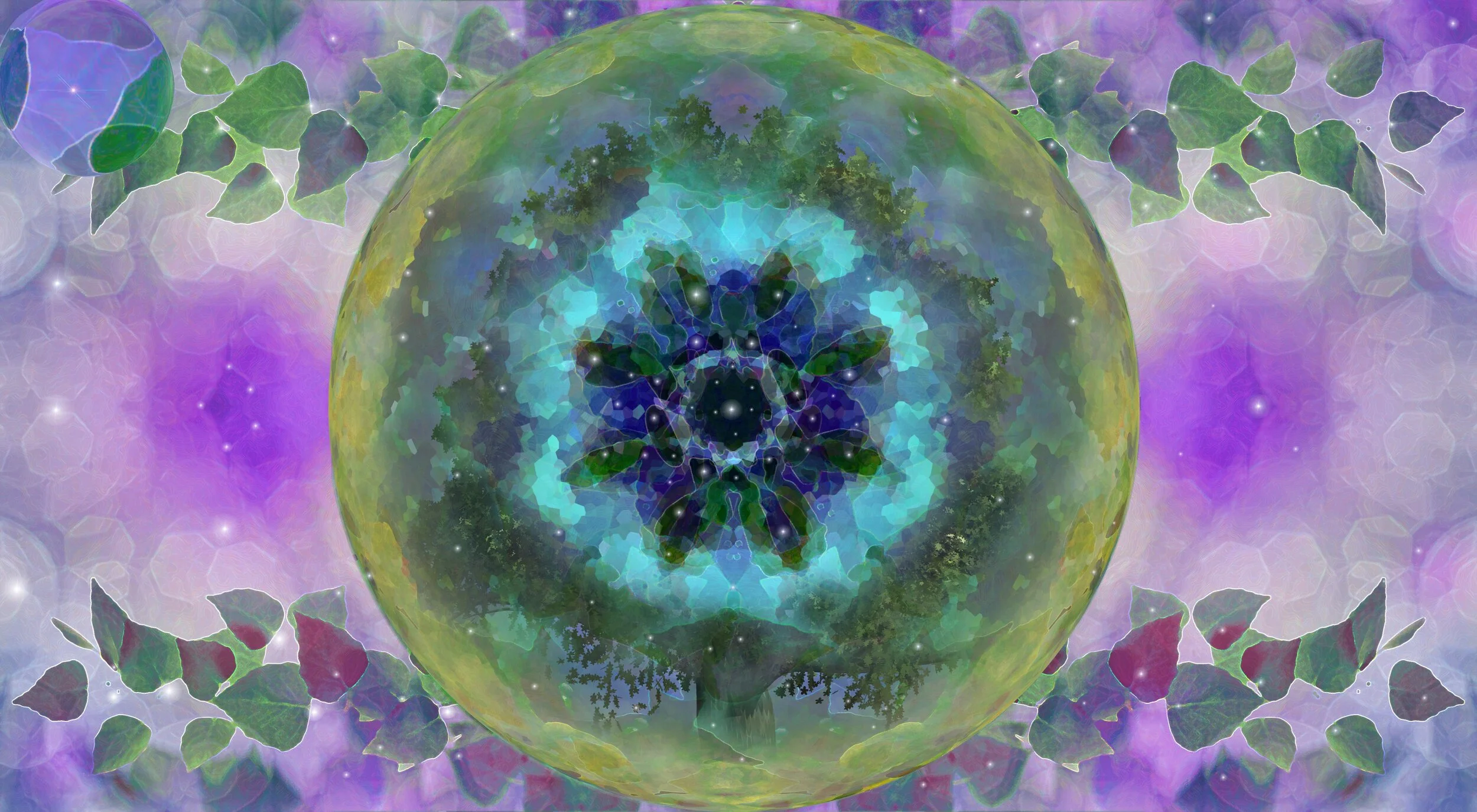 Seeds of Potential