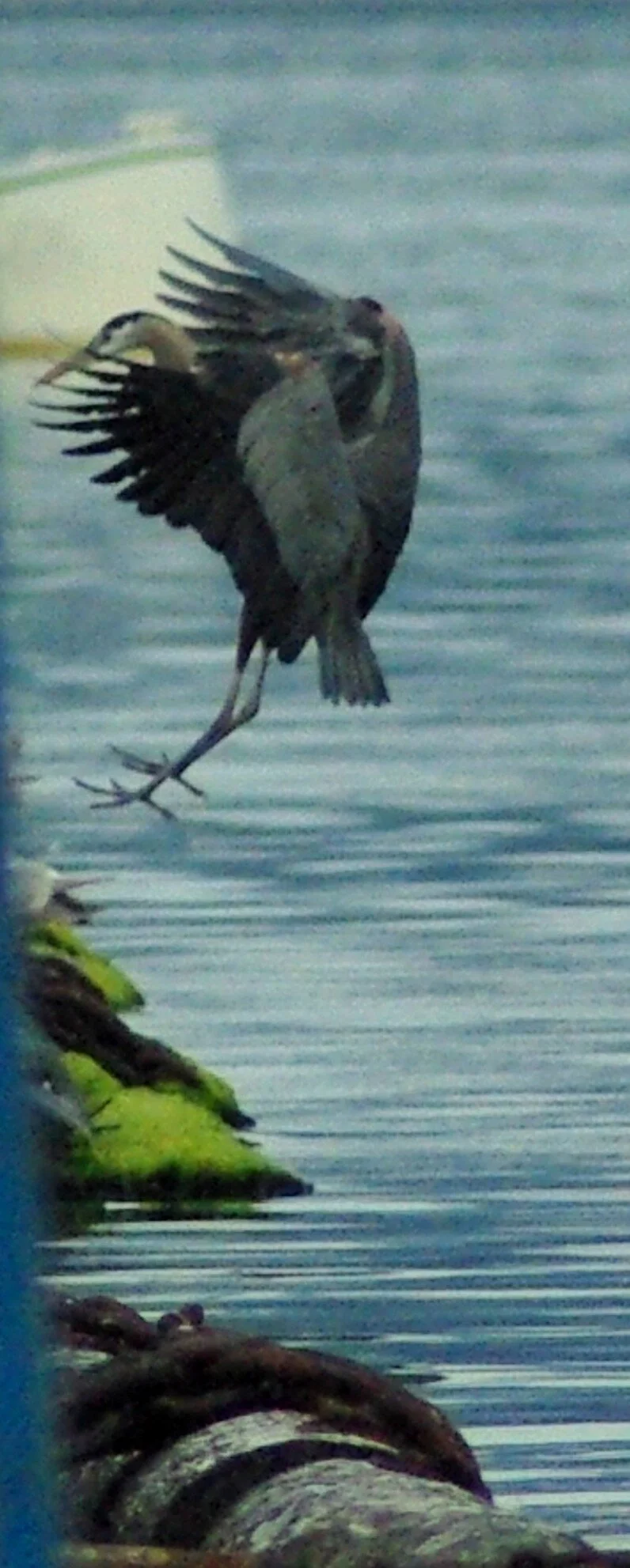  KNOWING WHEN TO SLAM ON THE BRAKES… 