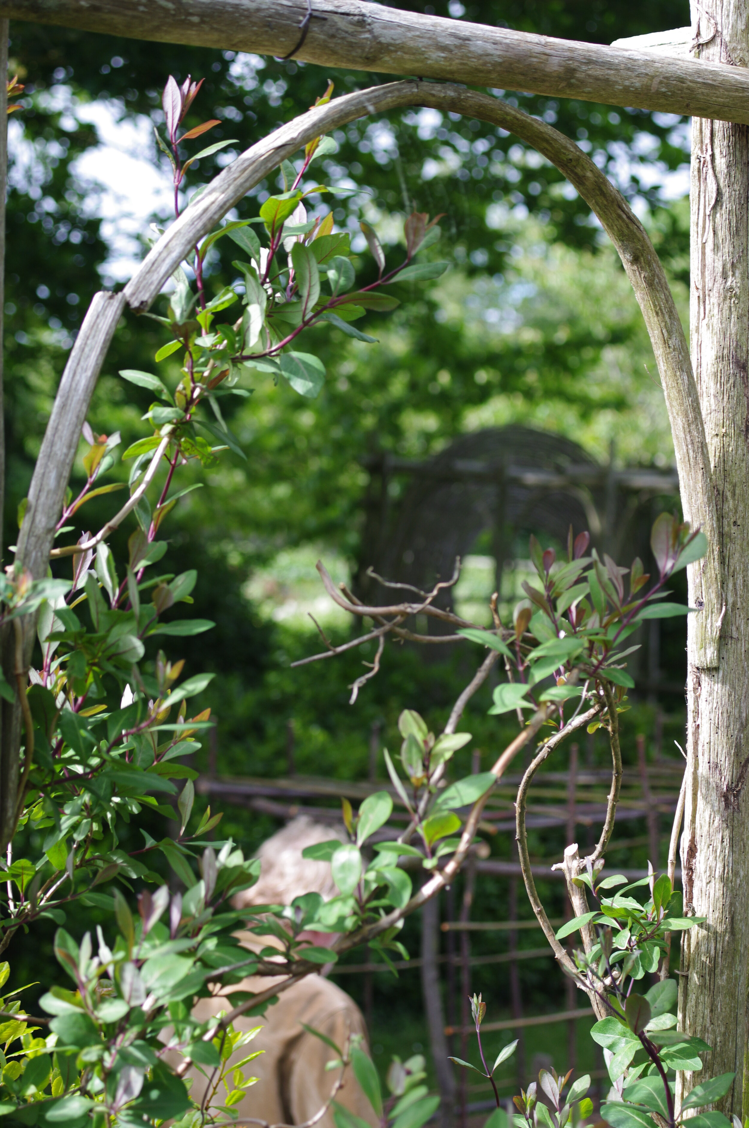 Photo: Lynnclaire Dennis