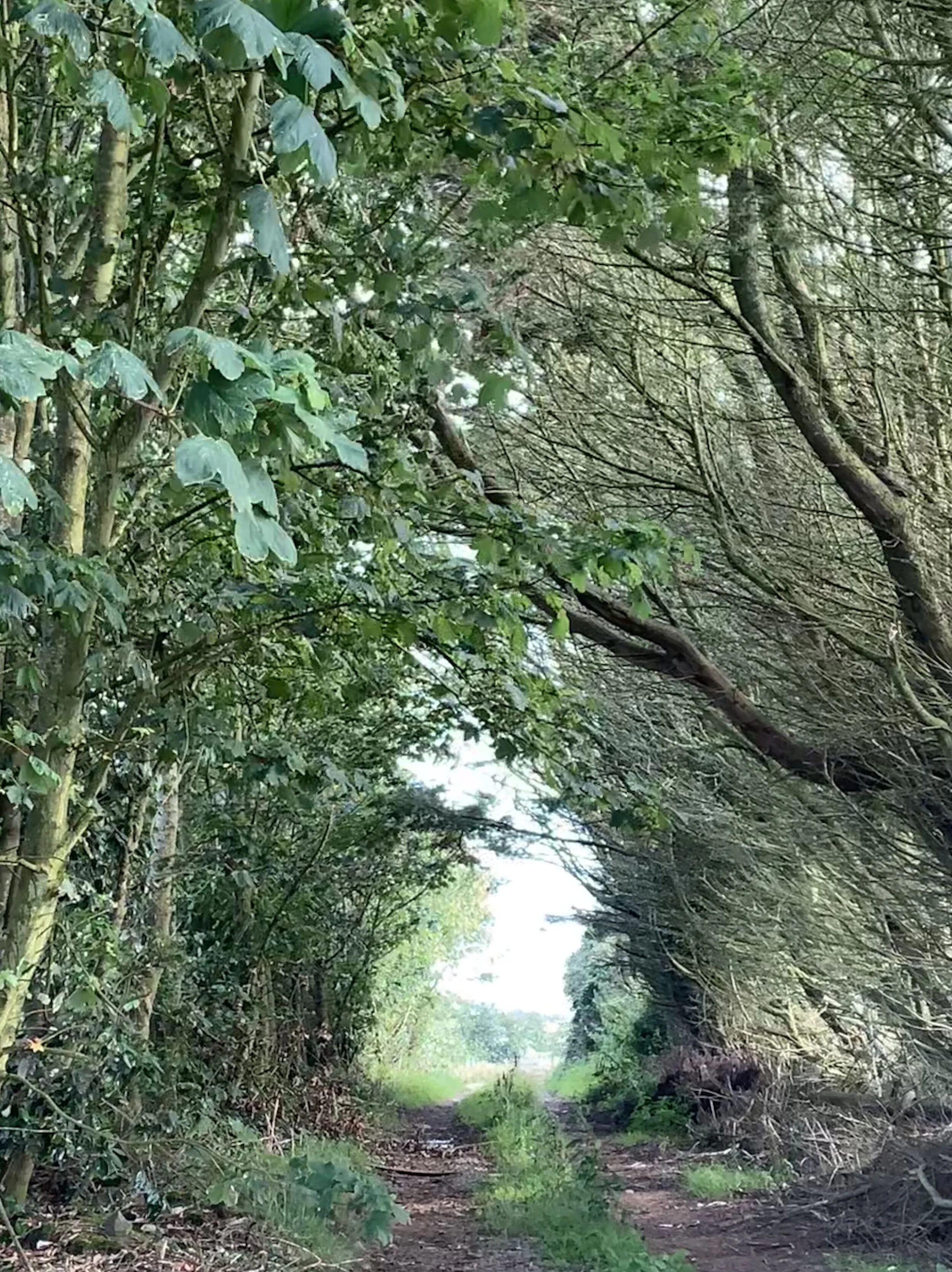 Photo: Lynnclaire Dennis