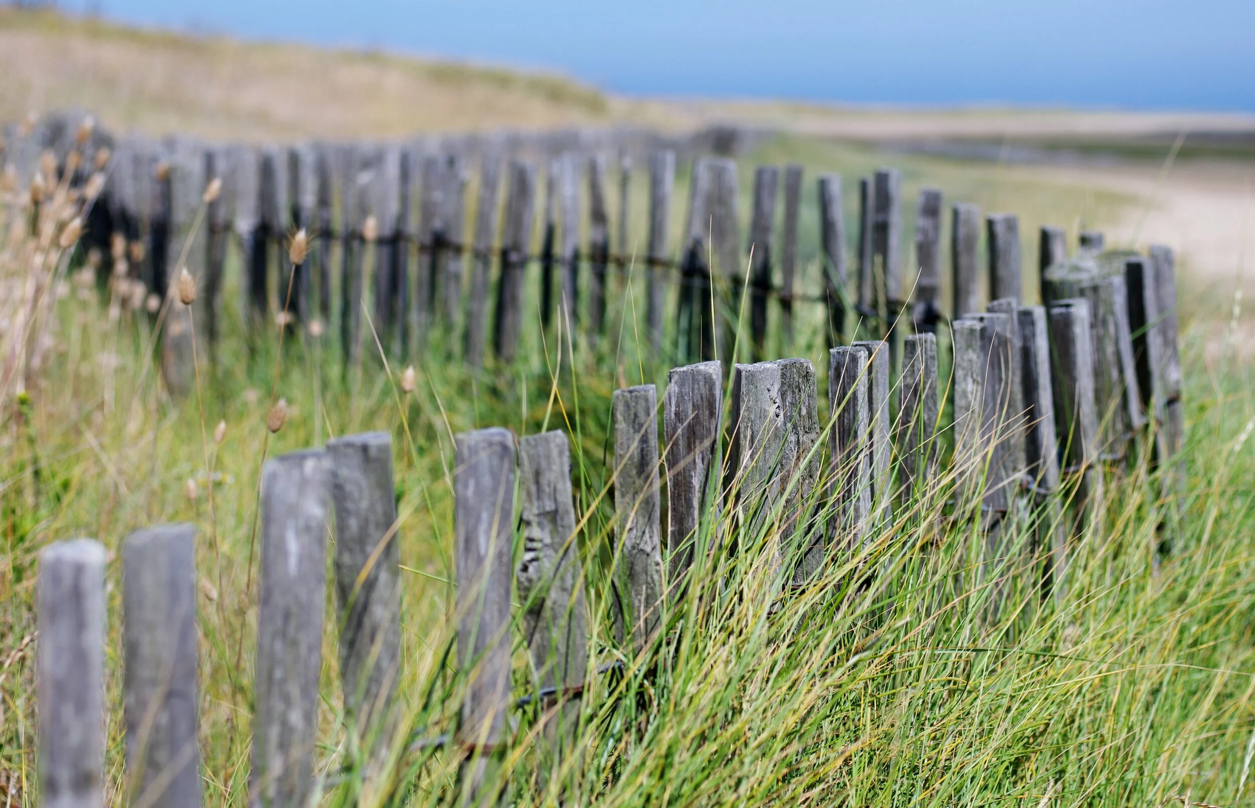 Photo: Lynnclaire Dennis