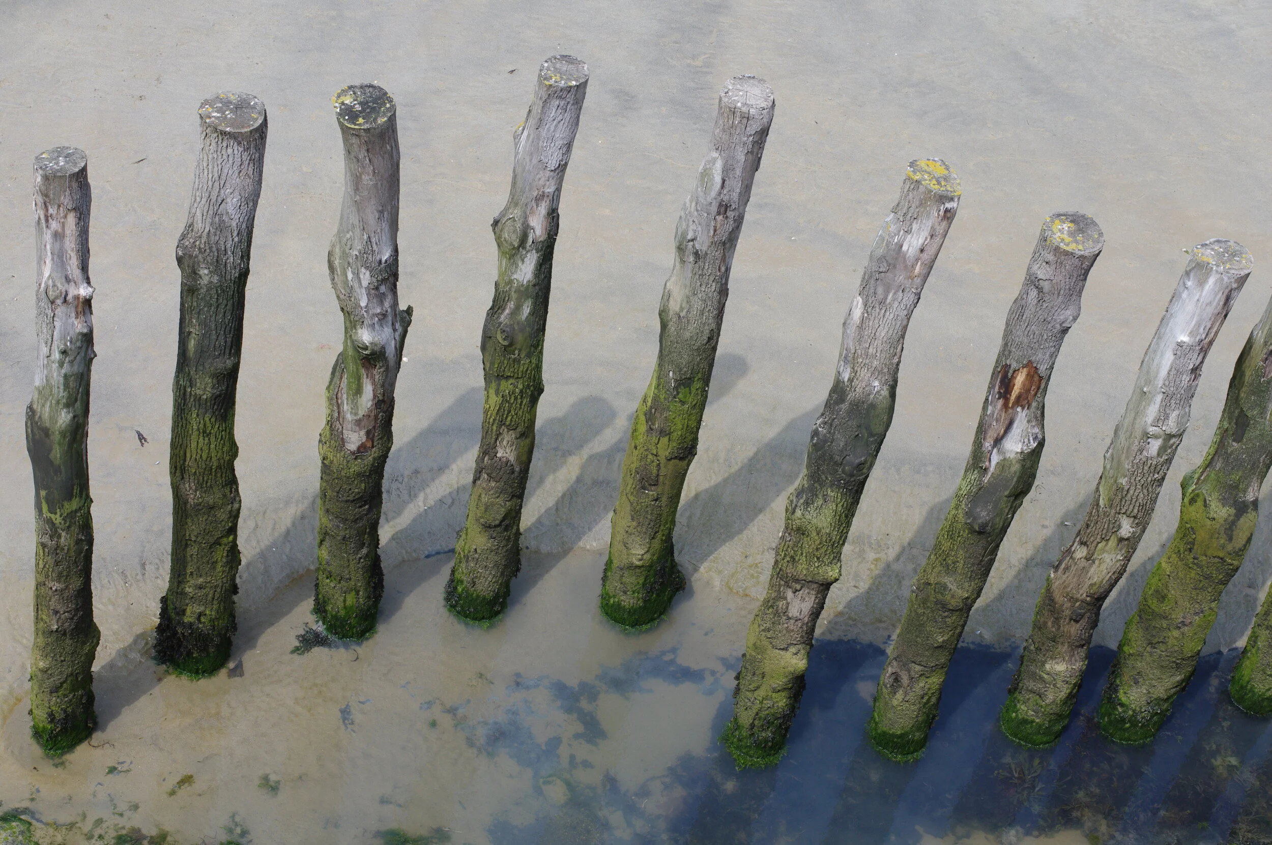  THE BEACH AT DINAN, BRITTANY, FRANCE 